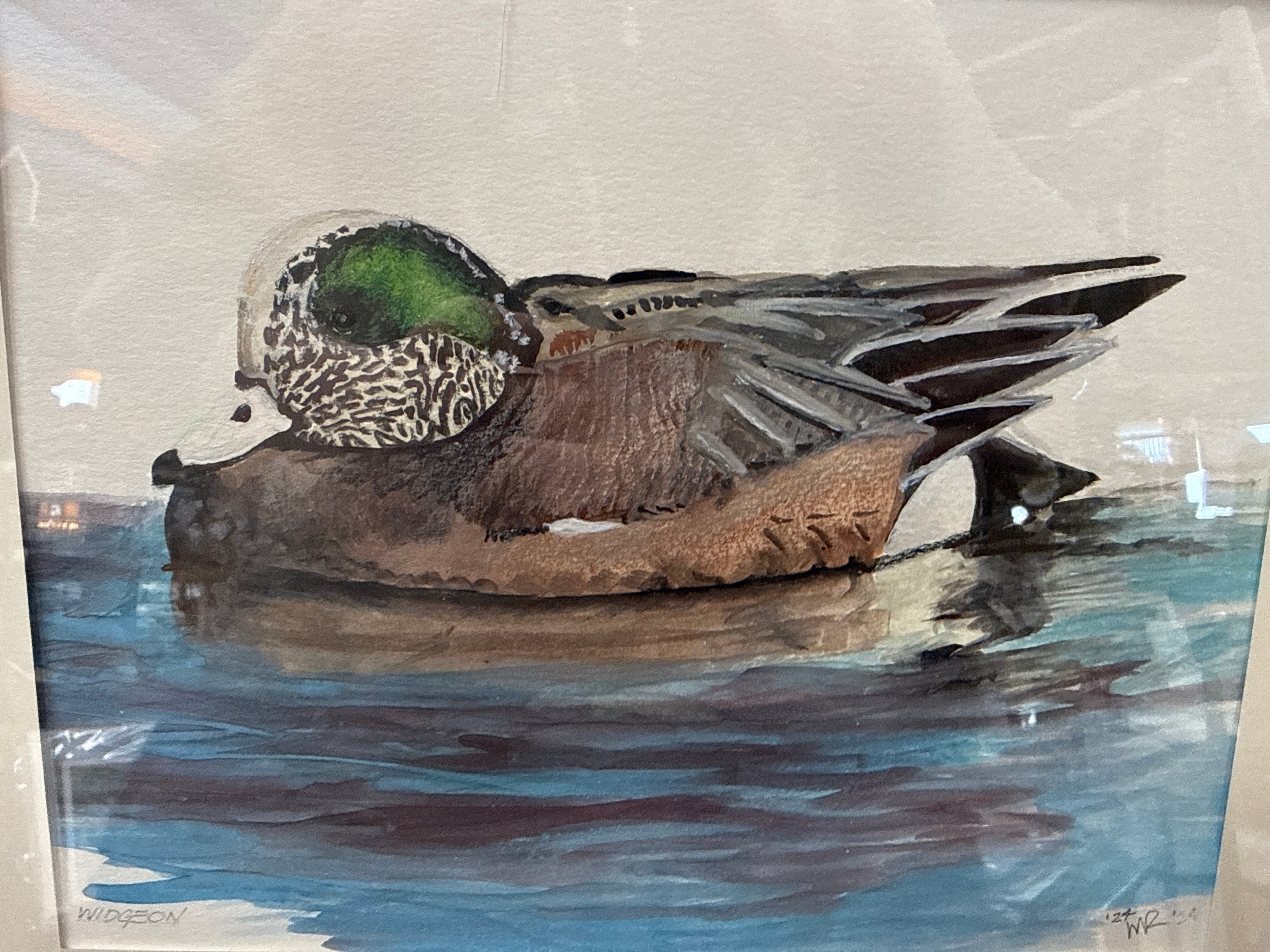 Widgeon