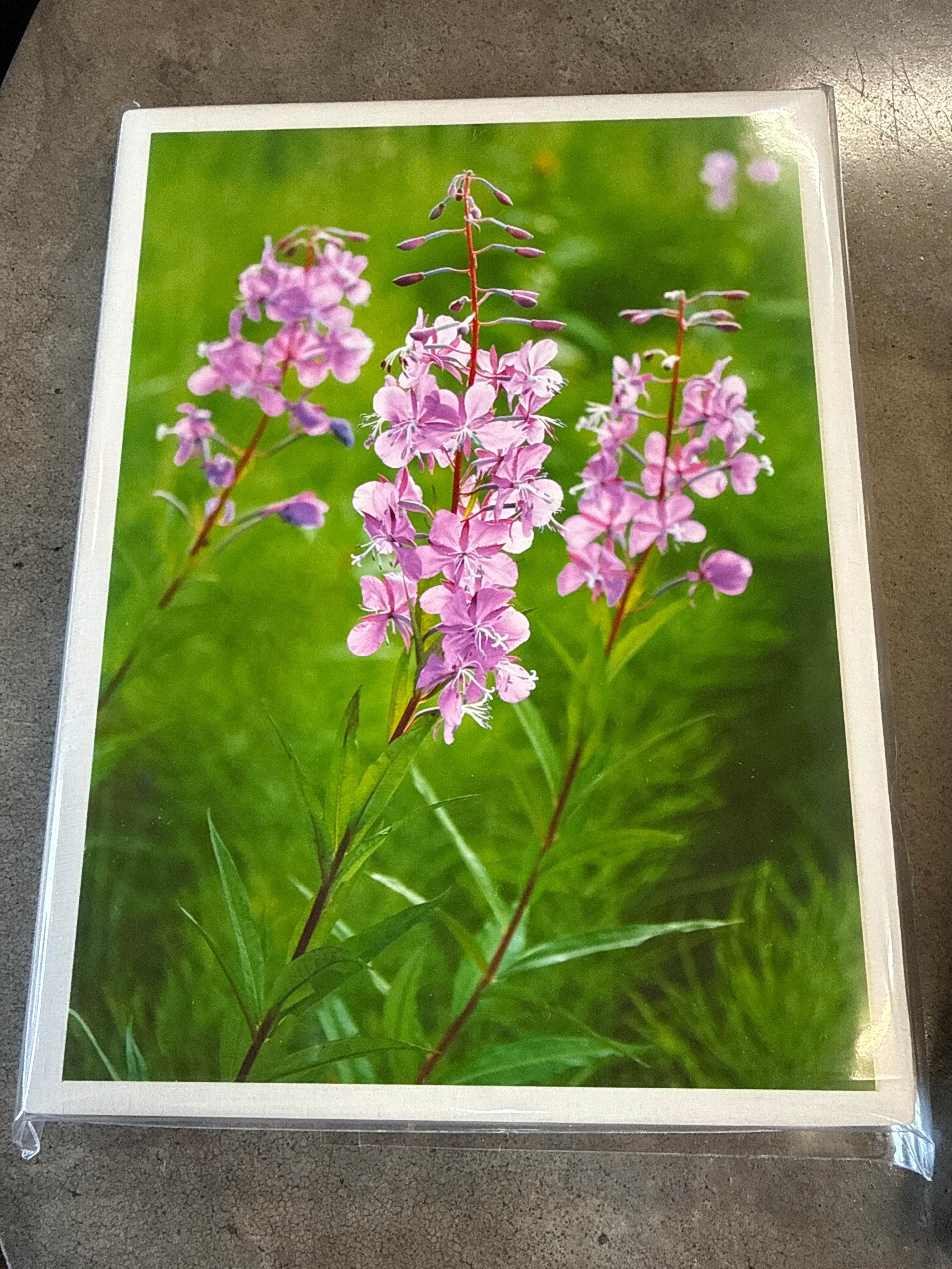 photo blocks