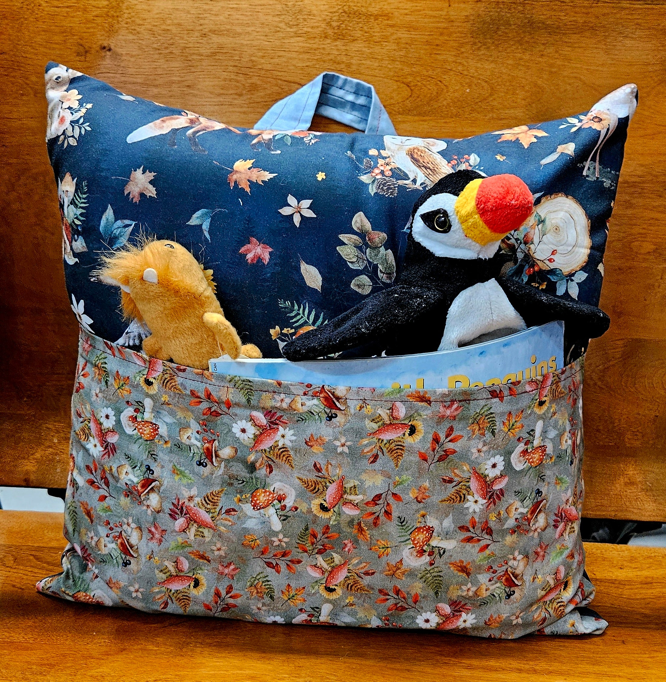 Book Pillow