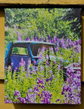 Wandering Nomad Photography: Small Canvas