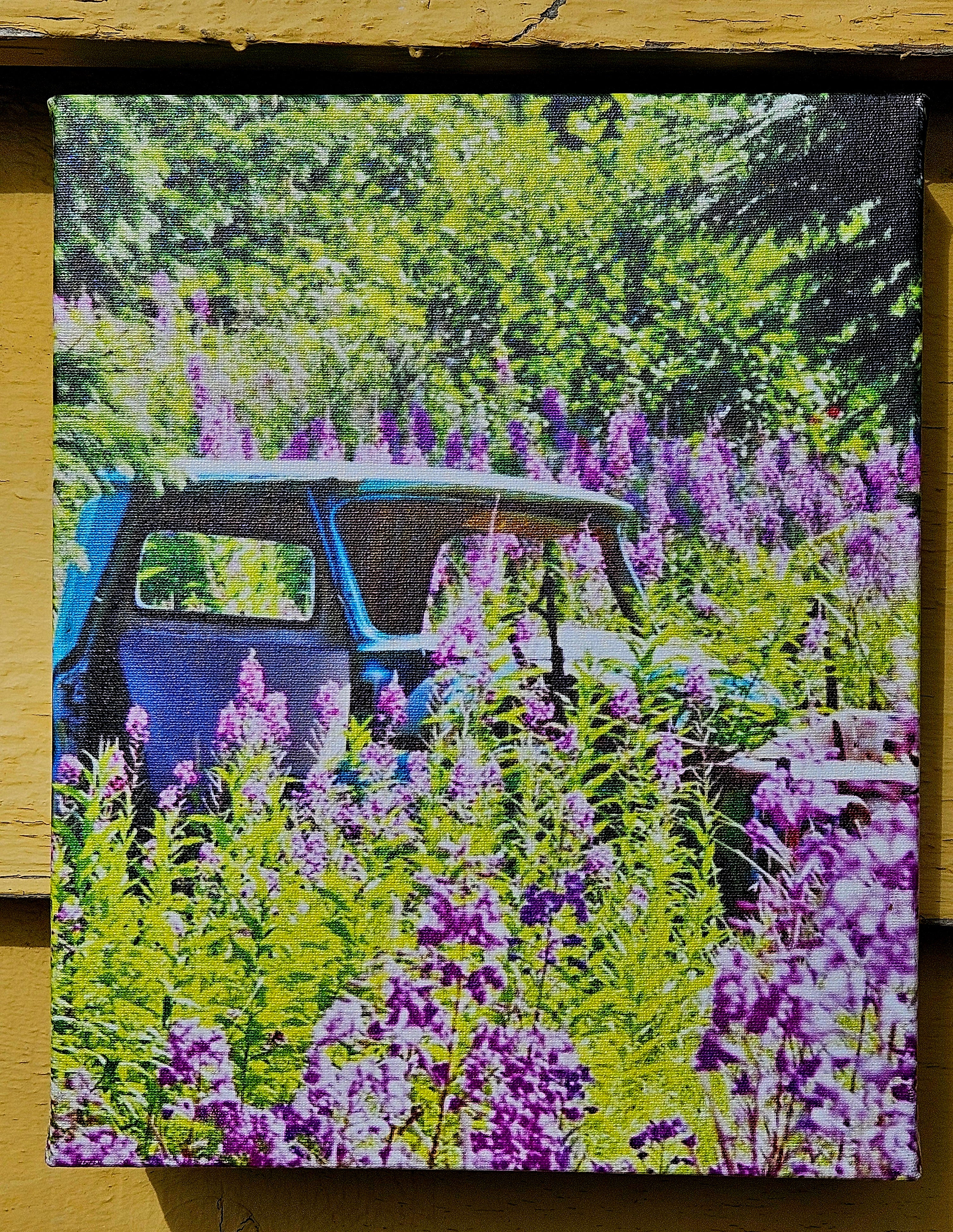 Wandering Nomad Photography: Small Canvas