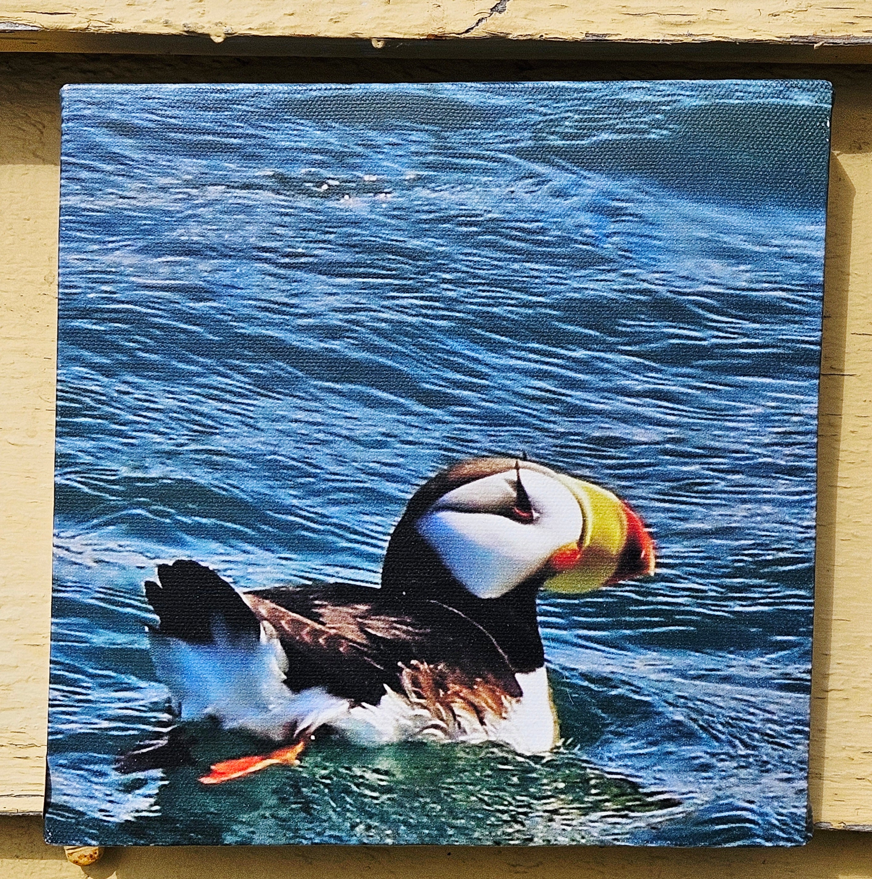 Wandering Nomad Photography: Small Canvas