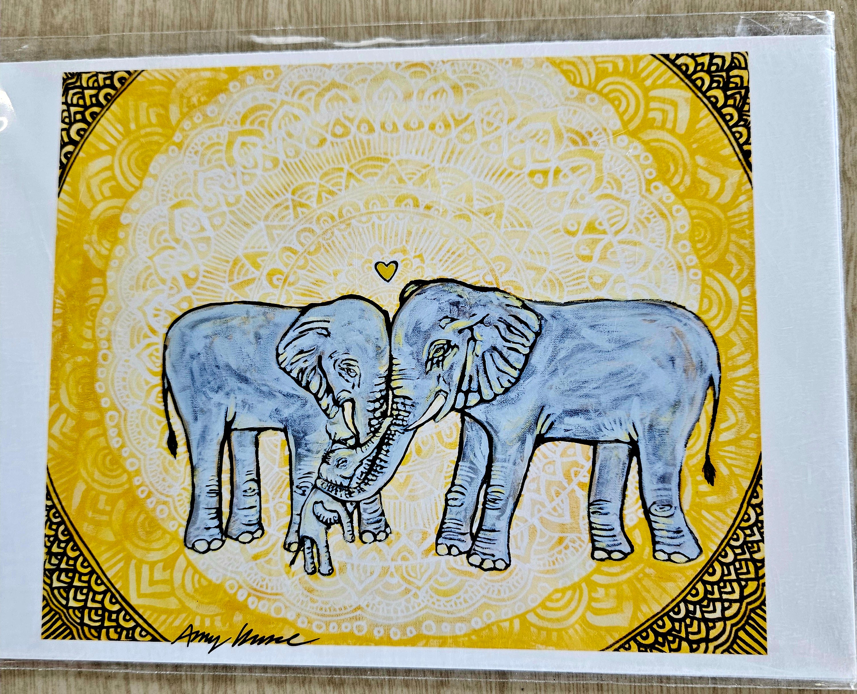 5 x 7 Prints