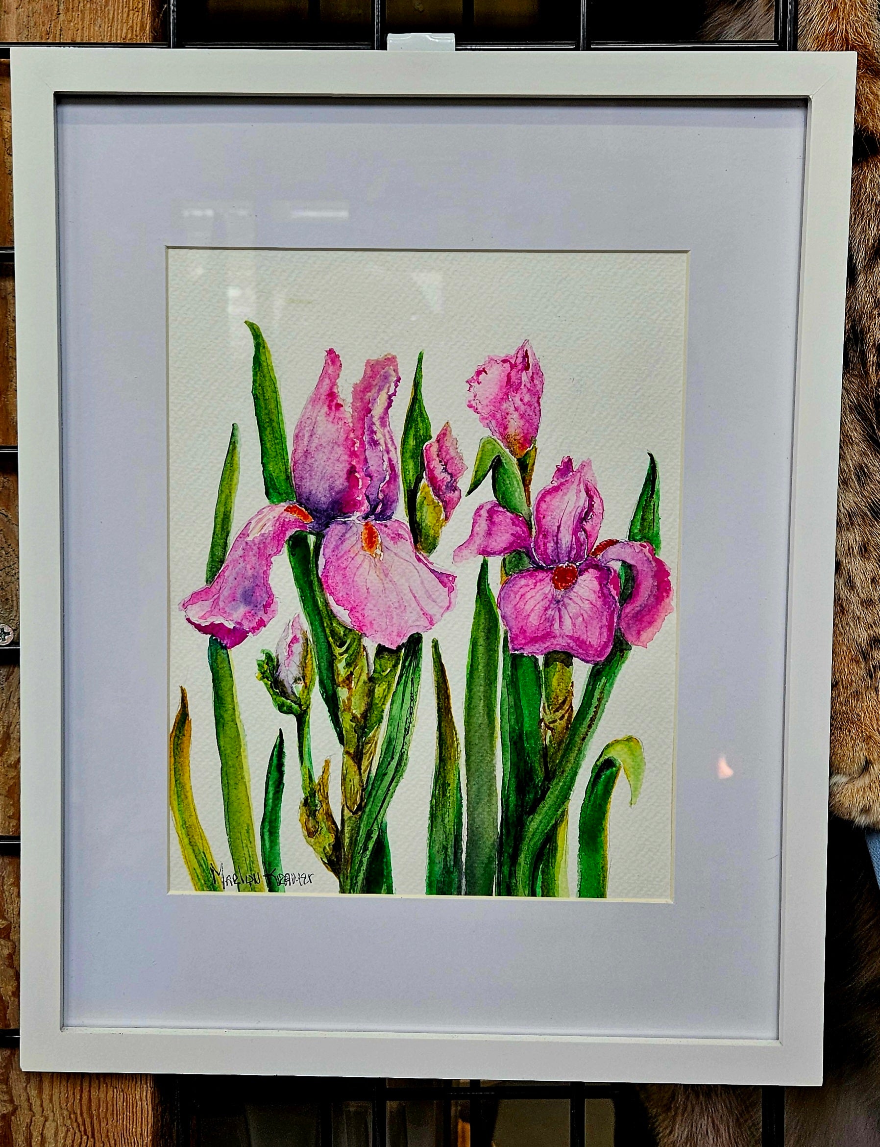 Original paintings: Marlyn Kramer