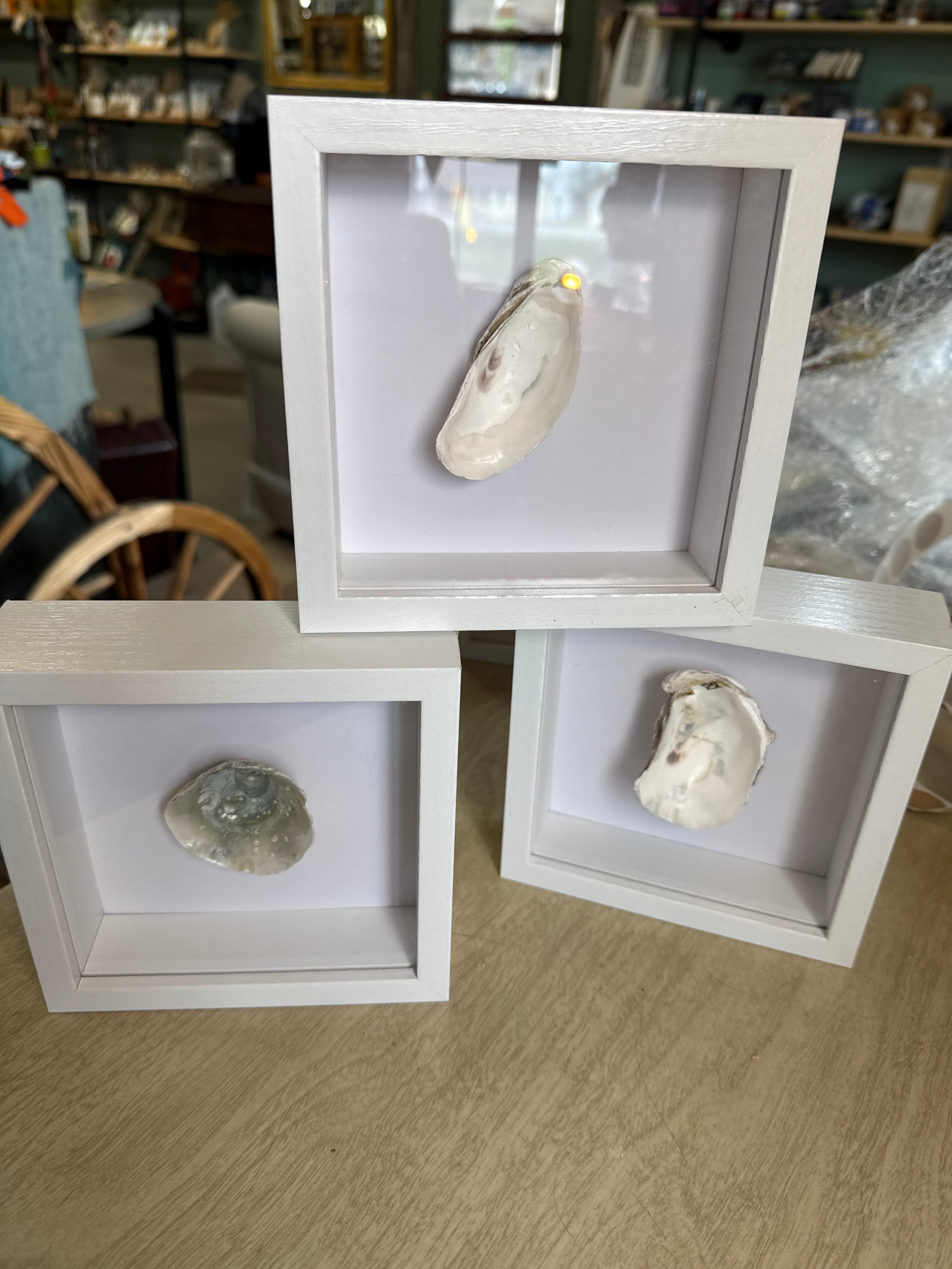 Shadow Box