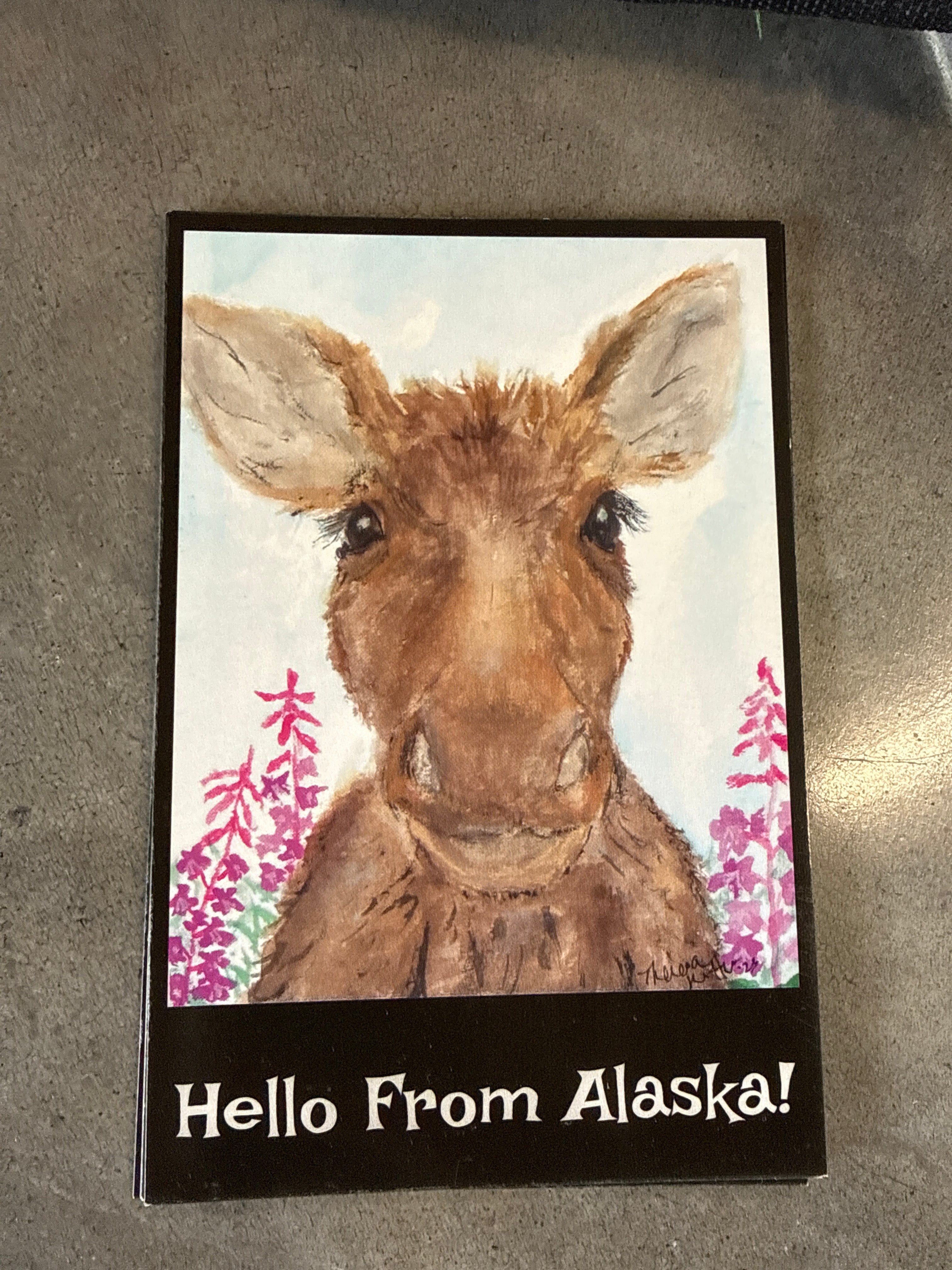 postcards by Theresa