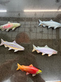 Fish Magnets