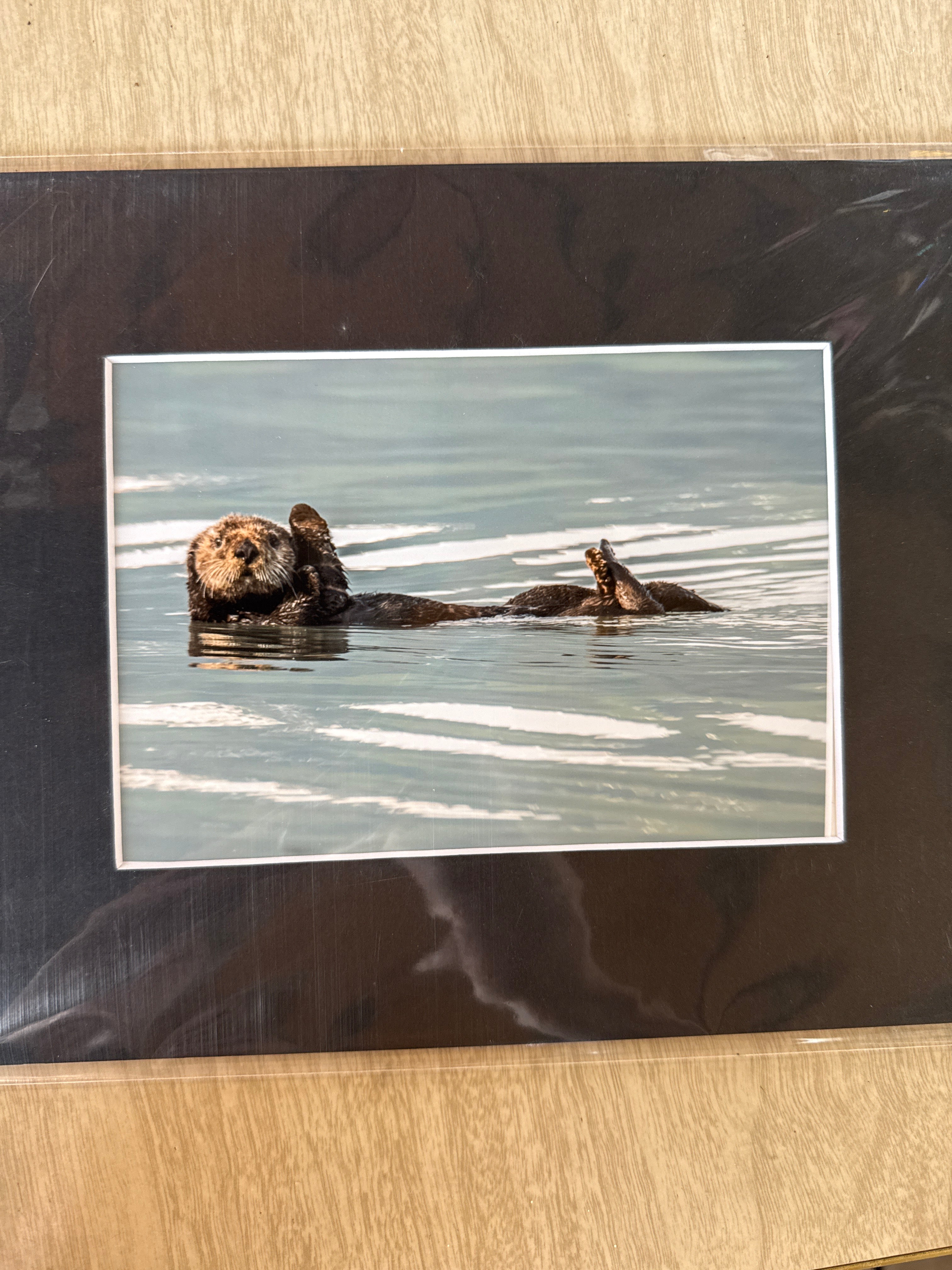 Photography Prints, Matted 5x7