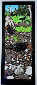 Oyster Catchers