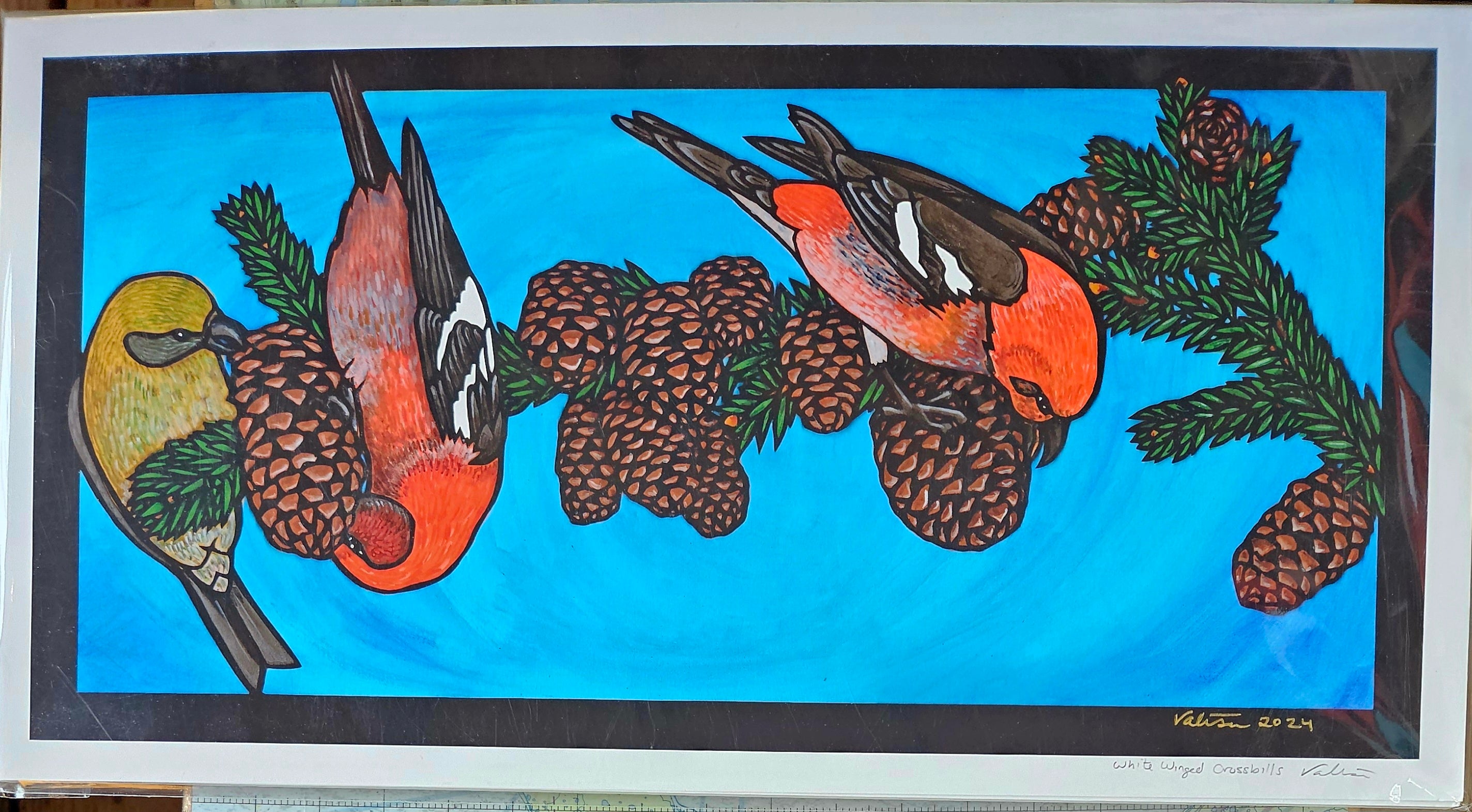 White winged crossbills
