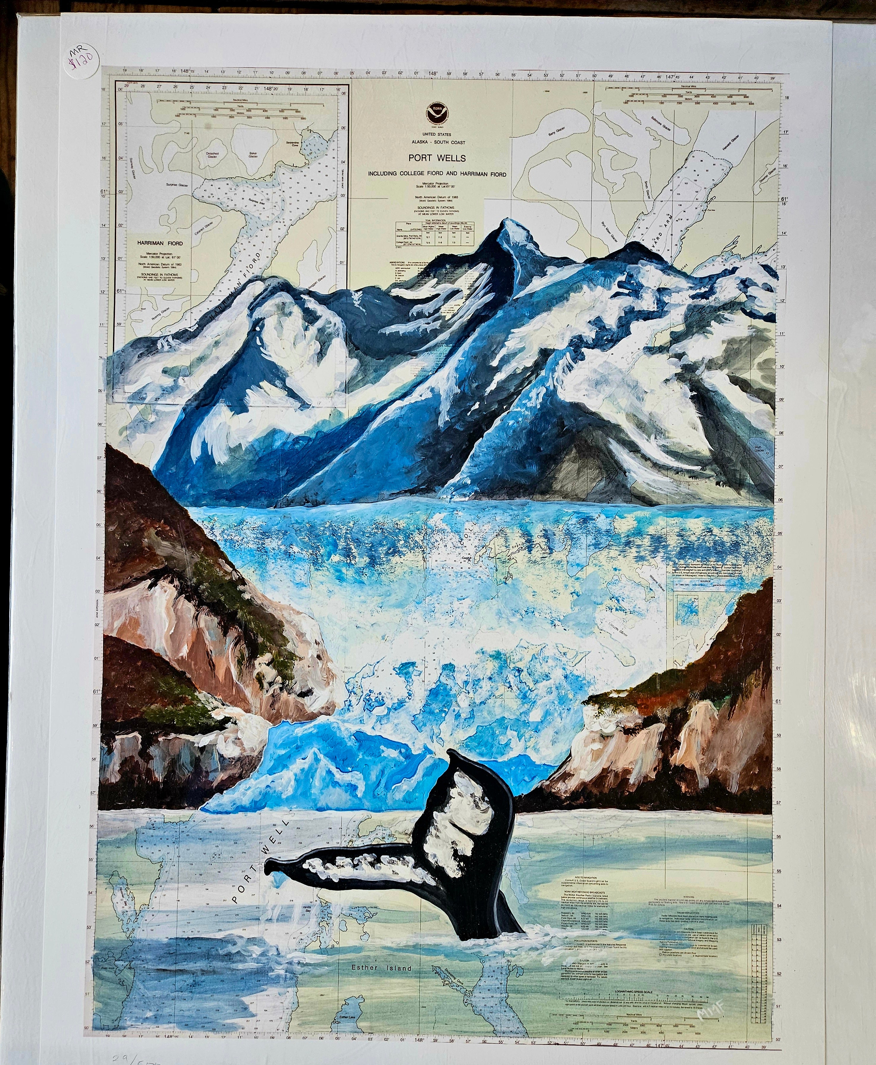 Whales Tail Print