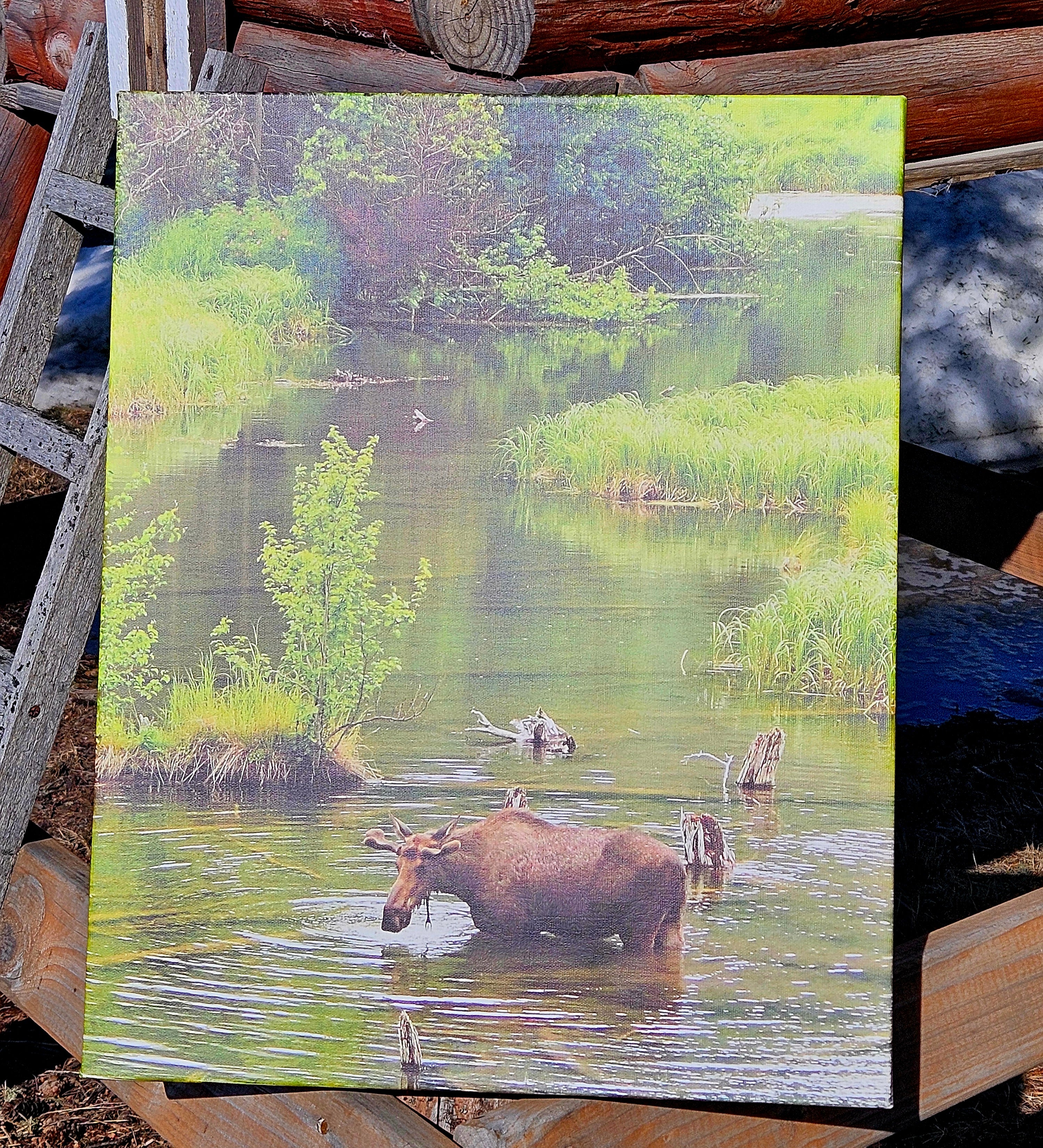 Wandering Nomad Photography: Large Canvas