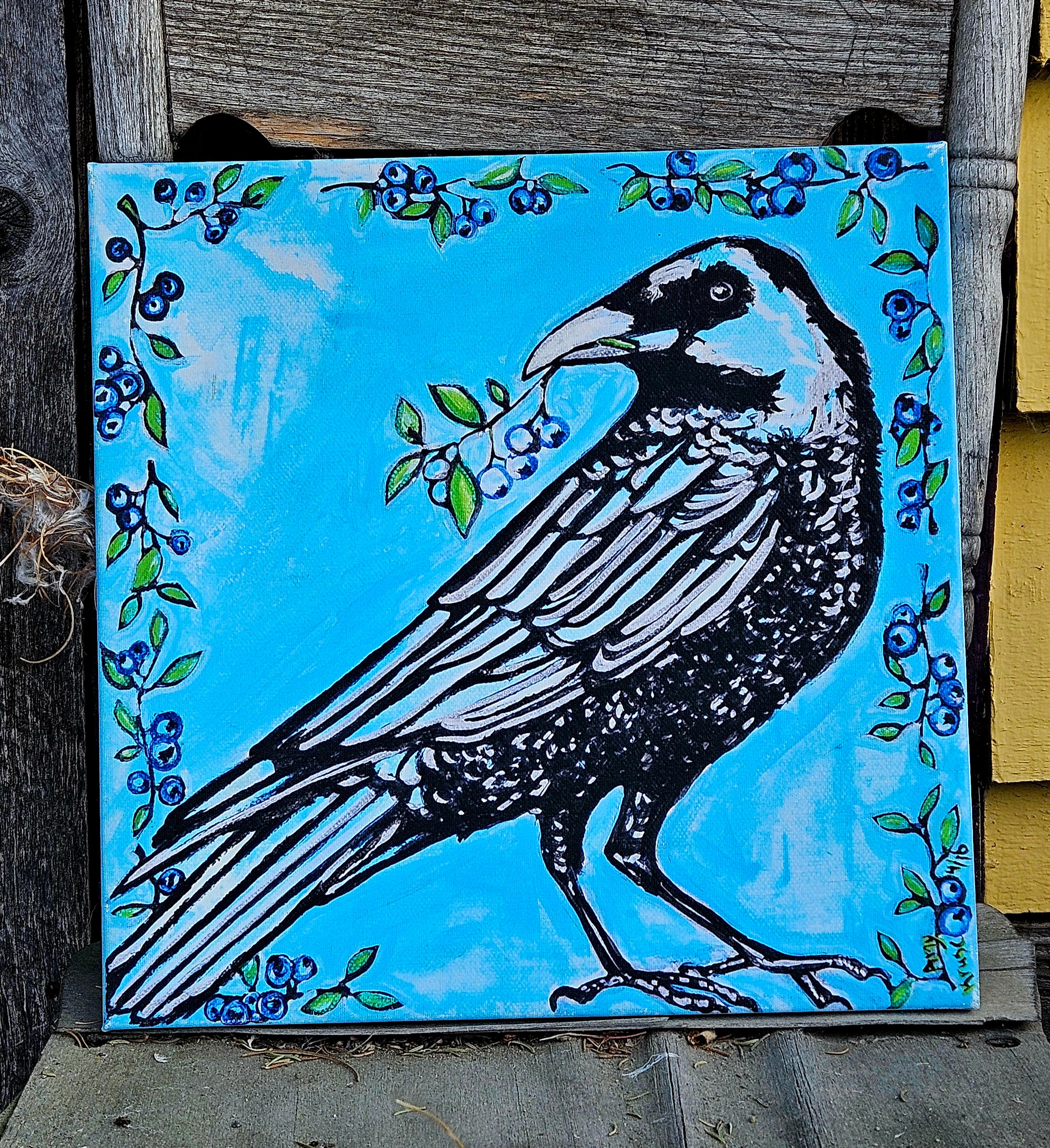 Blueberry Crow 16x16 canvas print
