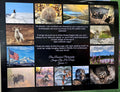 Calendar: Pam Roseveare Photography