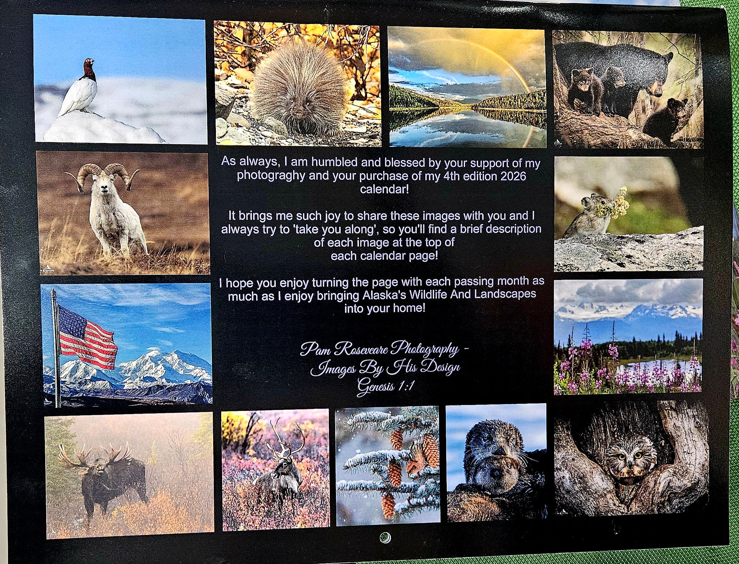 Calendar: Pam Roseveare Photography
