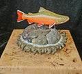#3 brook trout