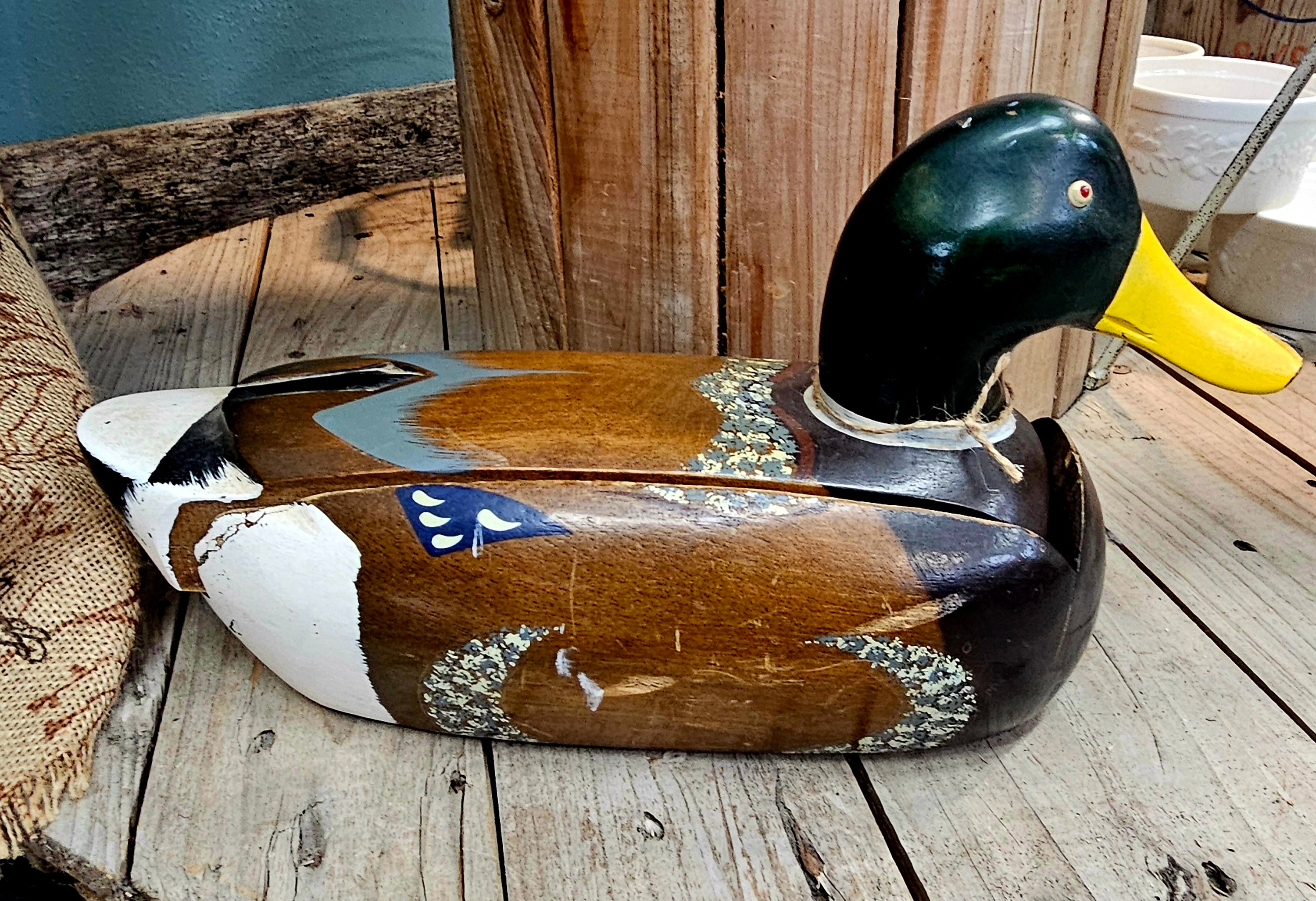 Duck 5