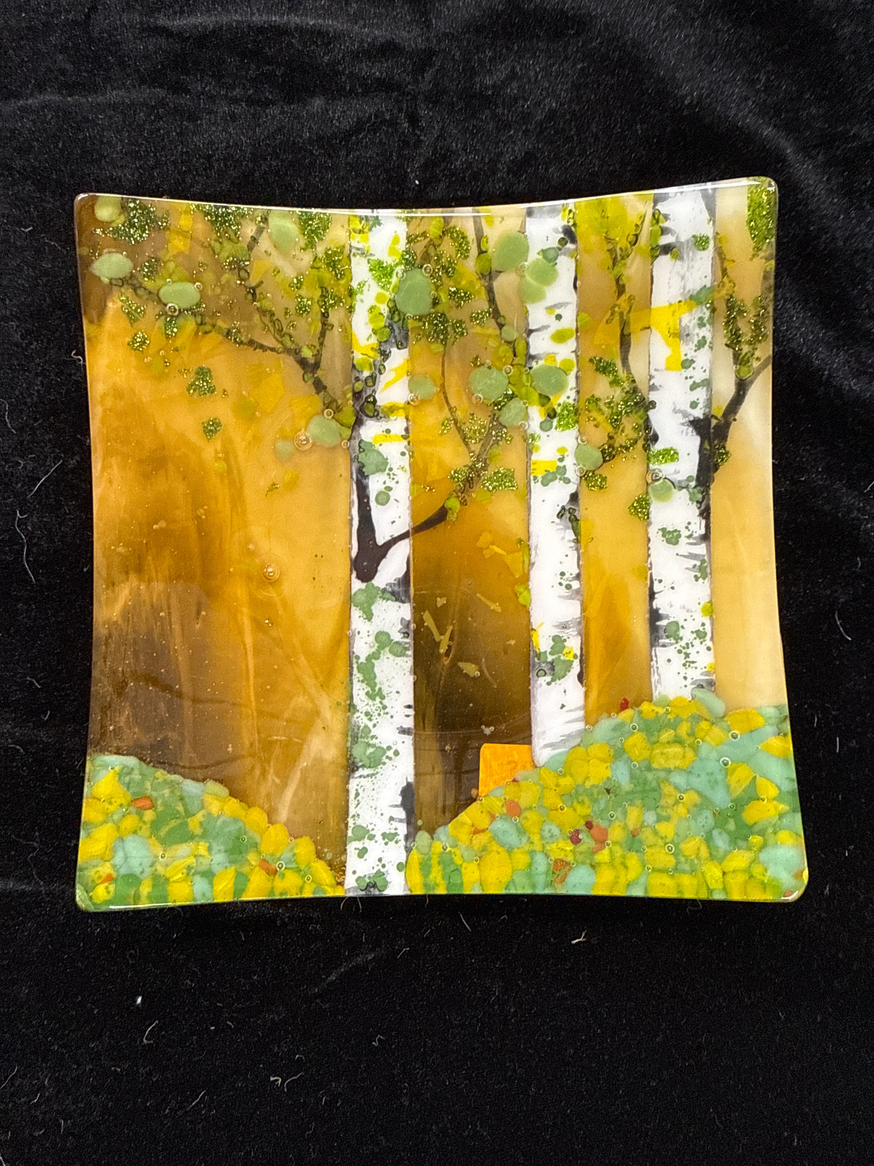 #211 birch trees glass plate
