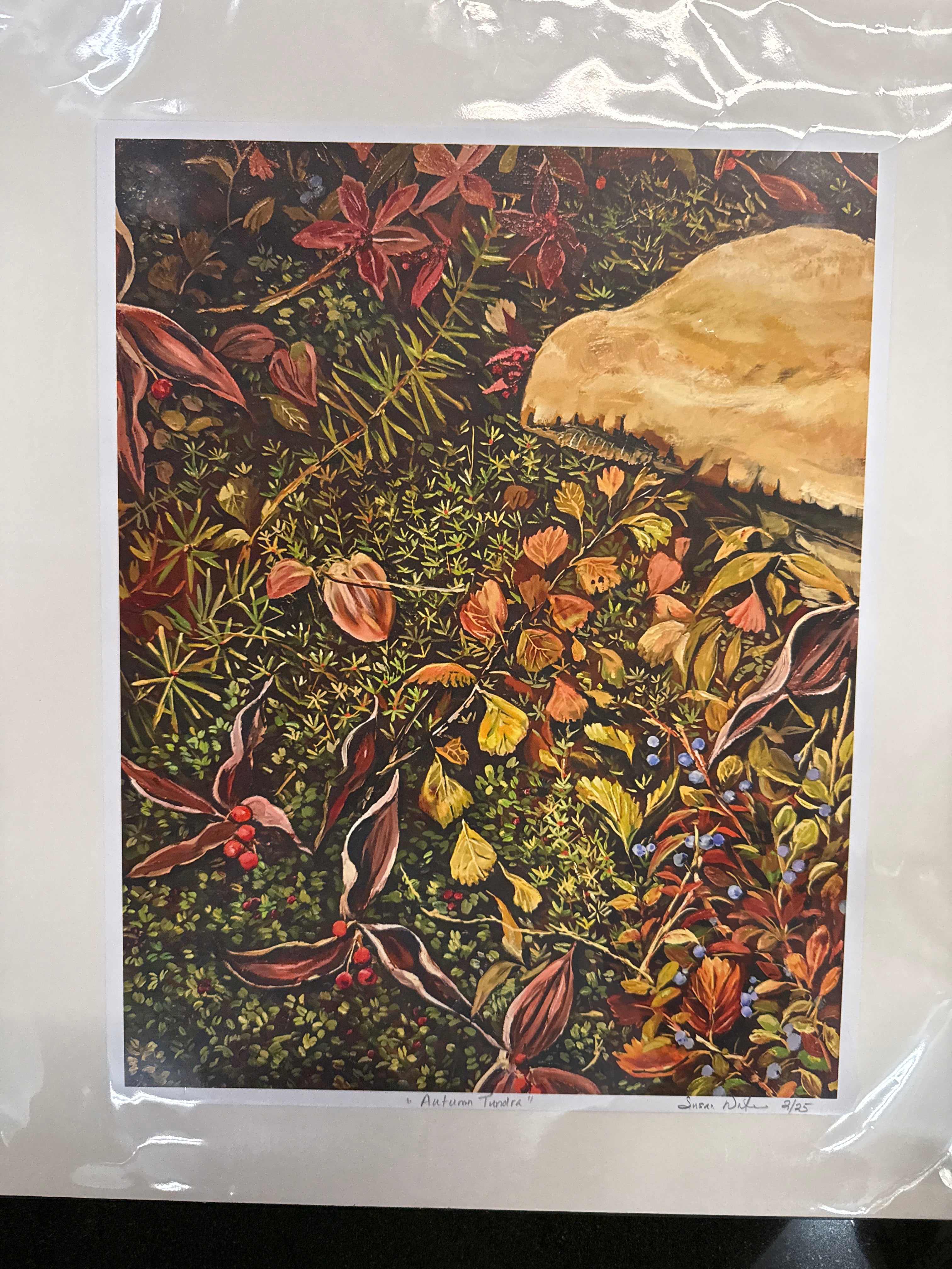 Autumn Tundra