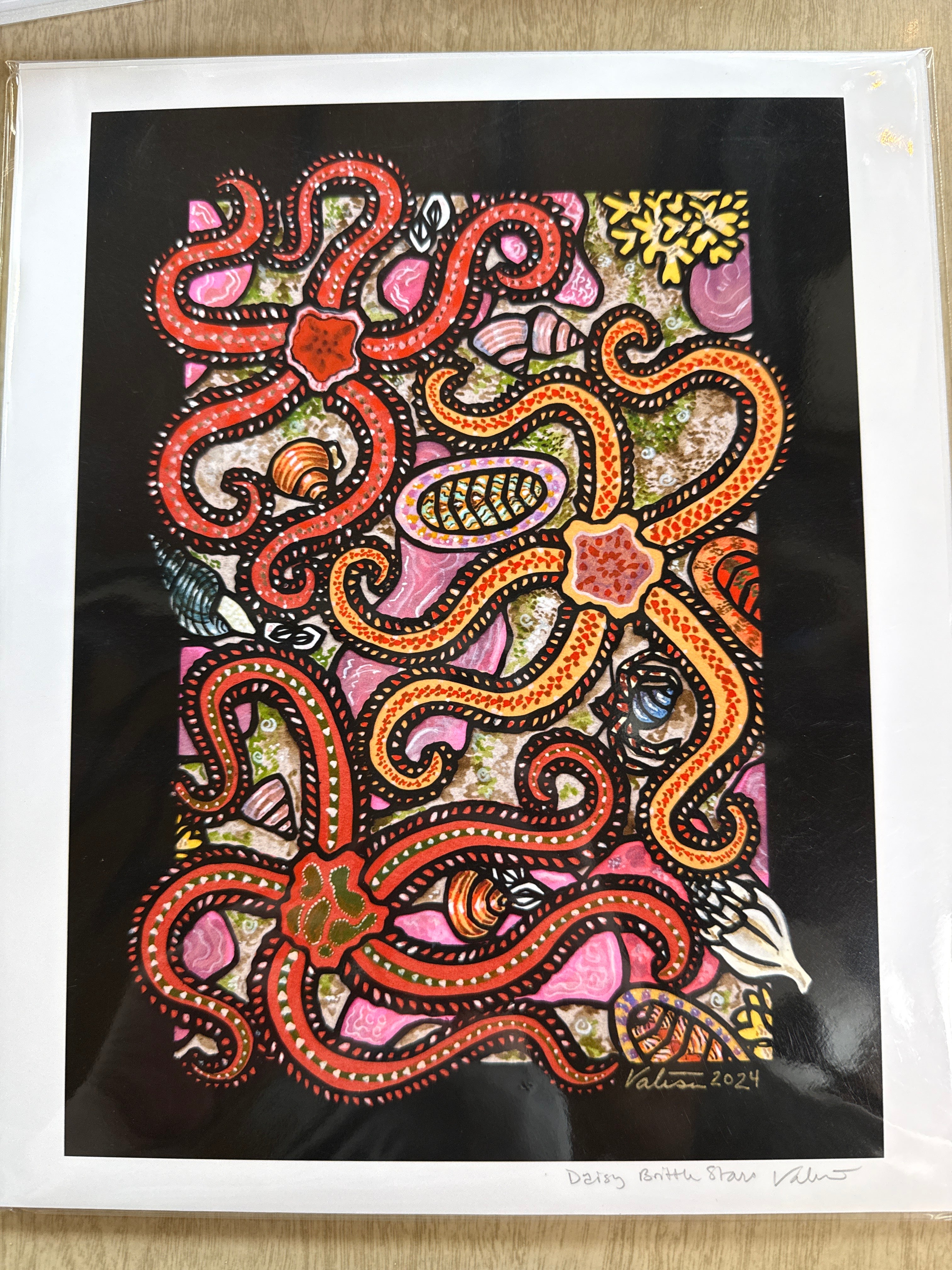 Daisy Brittle Stars 9x11 print