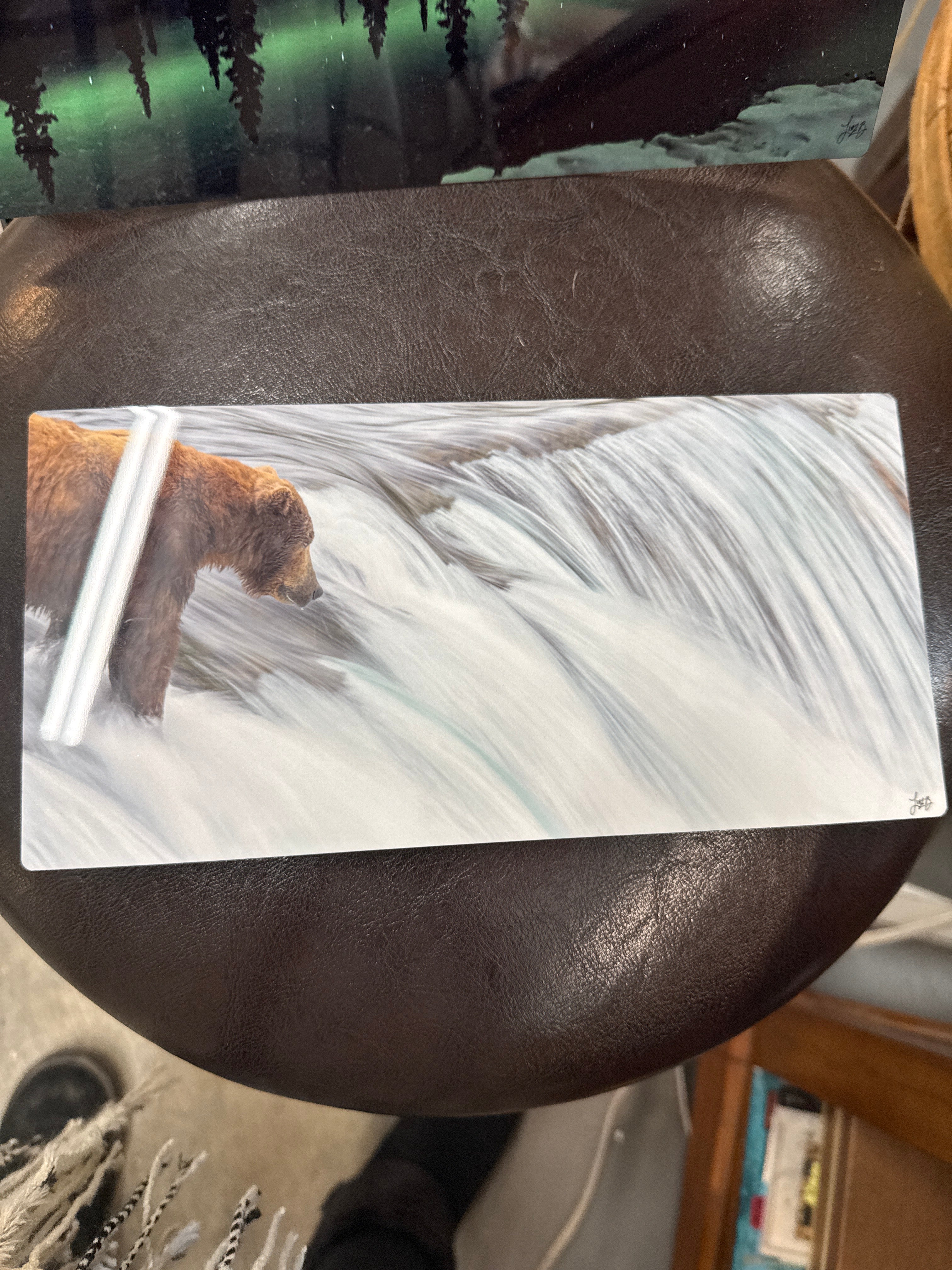 Bear in falls
