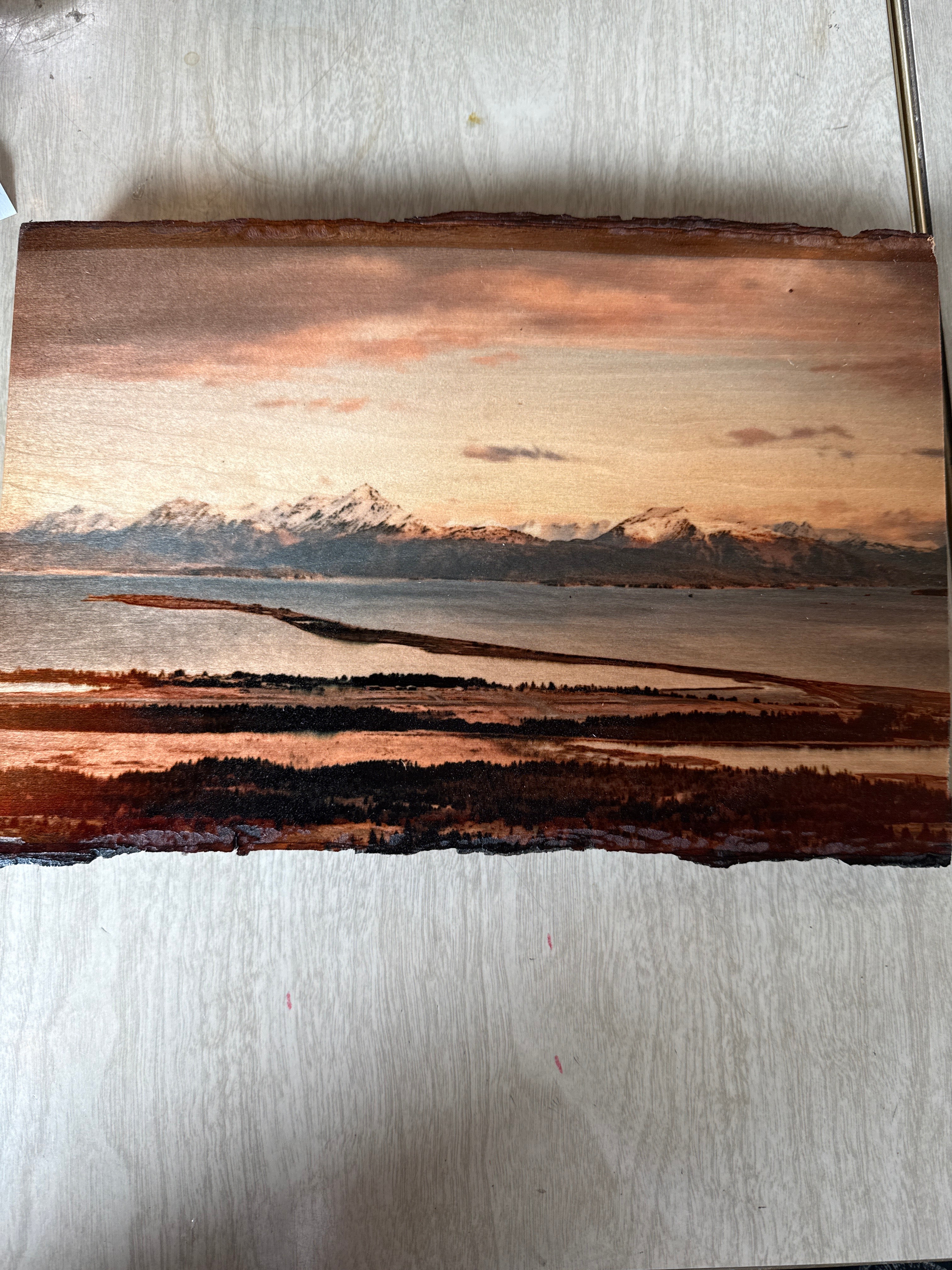 Photography on Wood with Live Edge 9x12