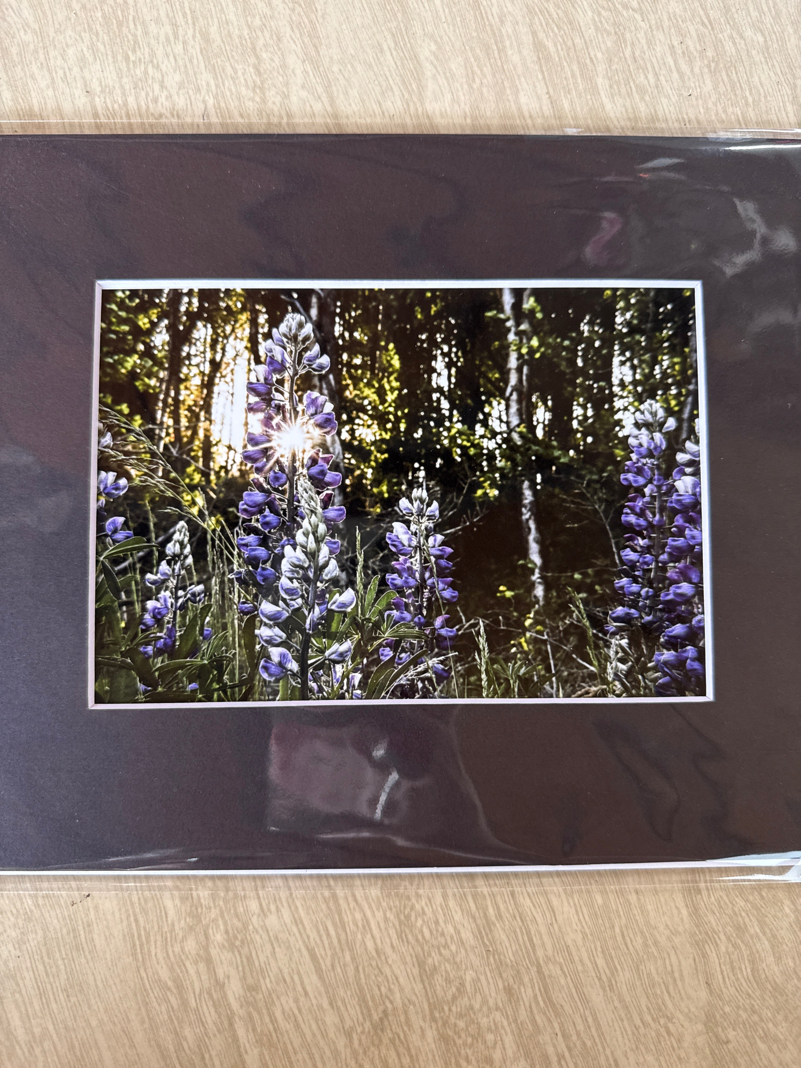Photography Prints, Matted 5x7