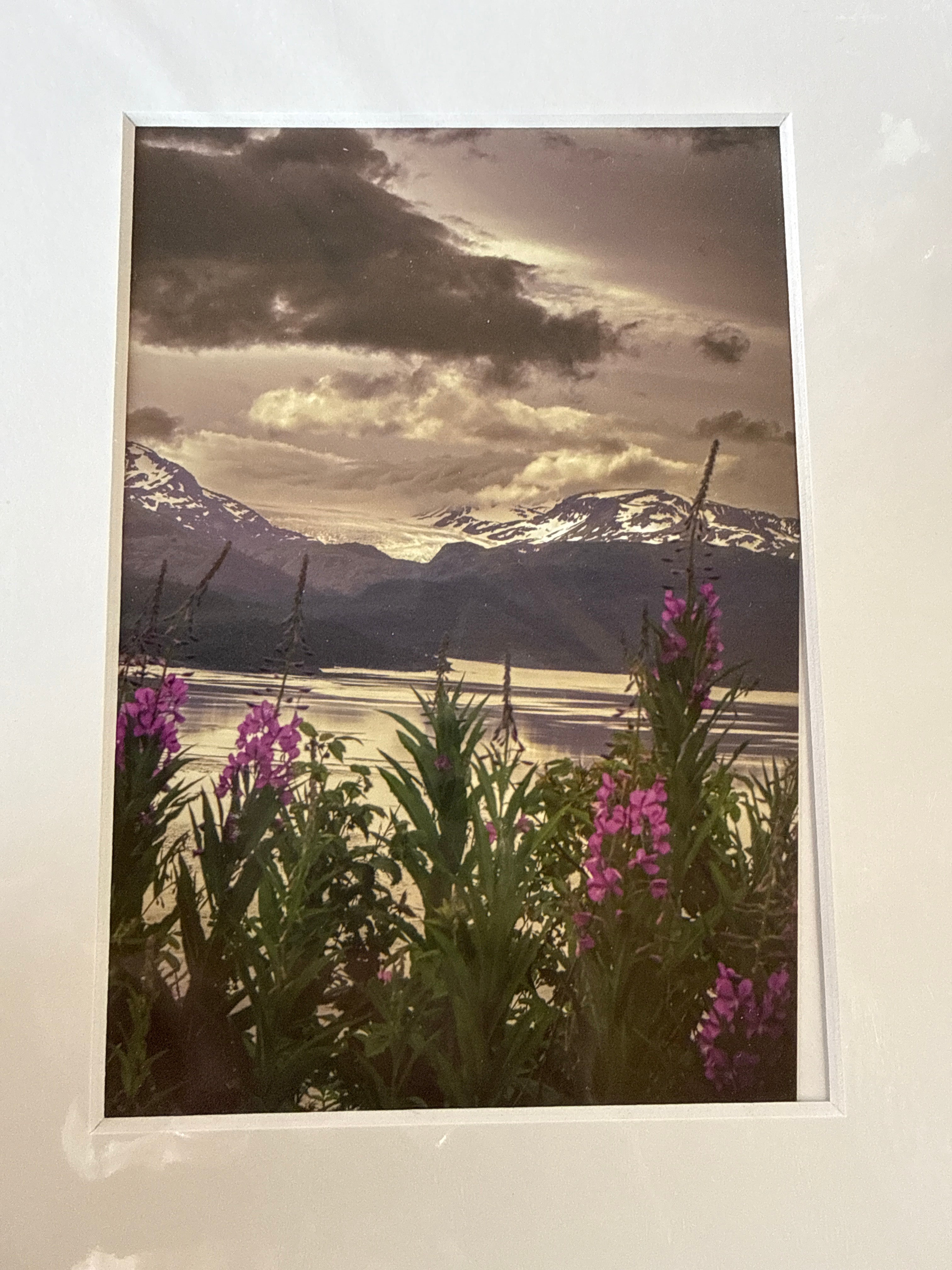 Photography Prints, Matted 5x7