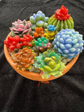 #205 Clay Pot Succulents