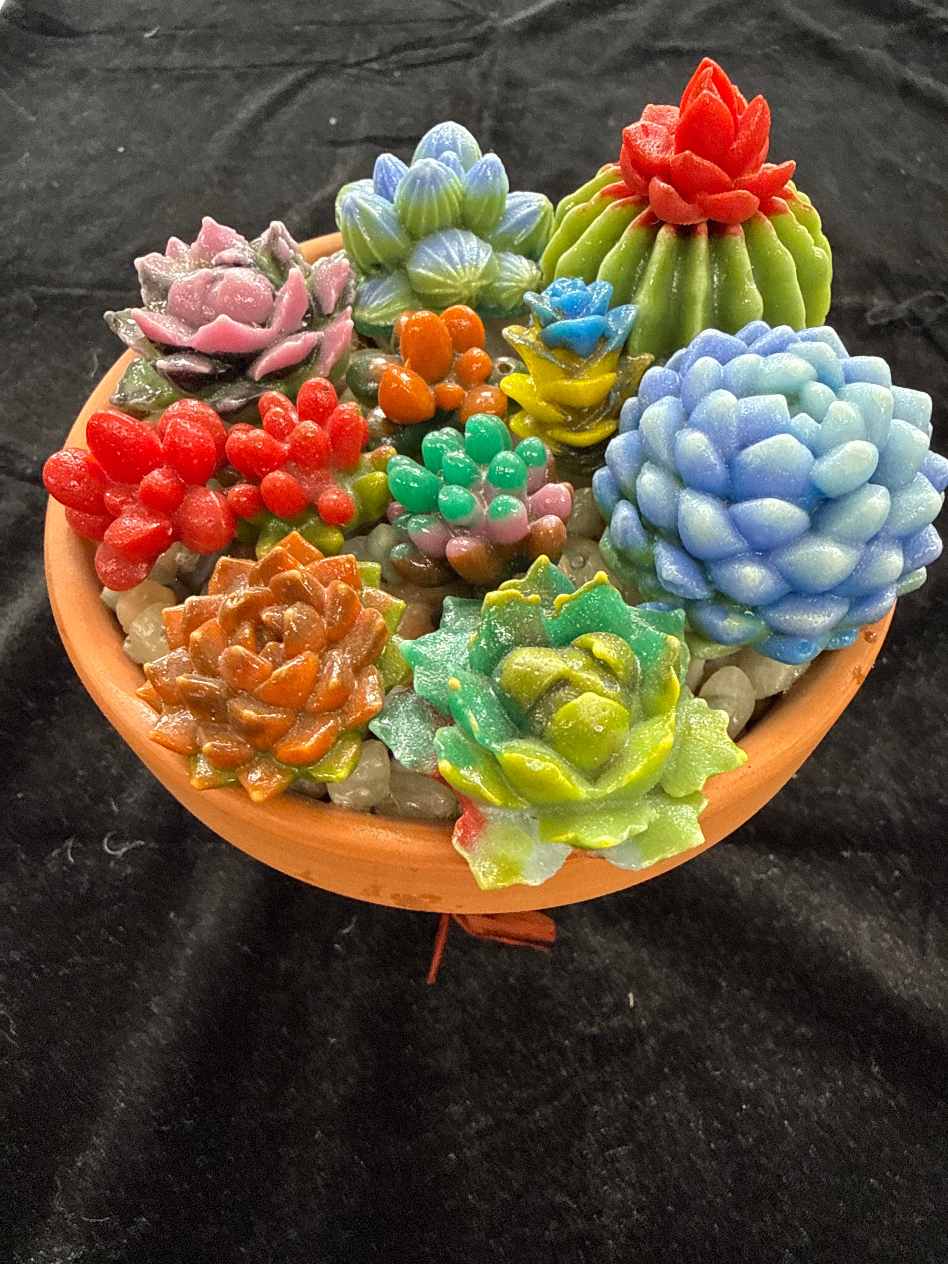 #205 Clay Pot Succulents