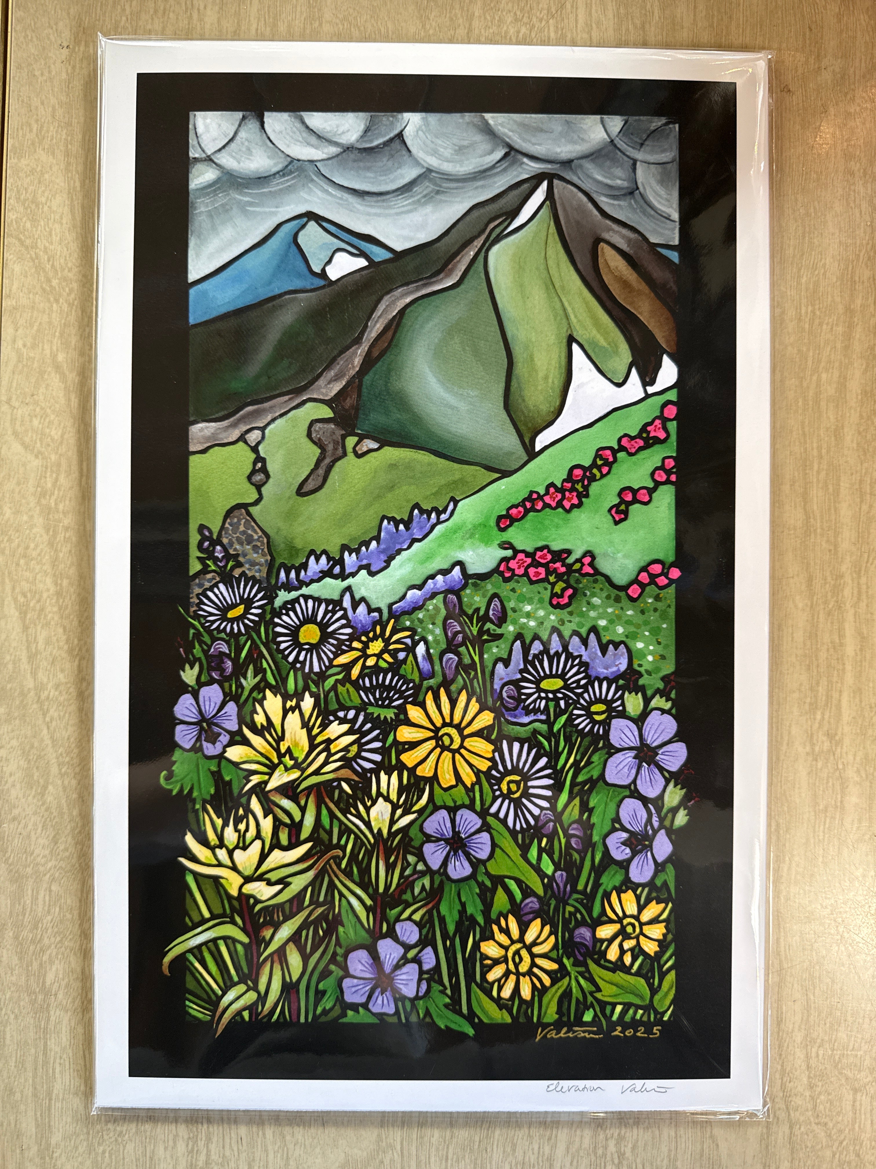 Elevation 10x16 print