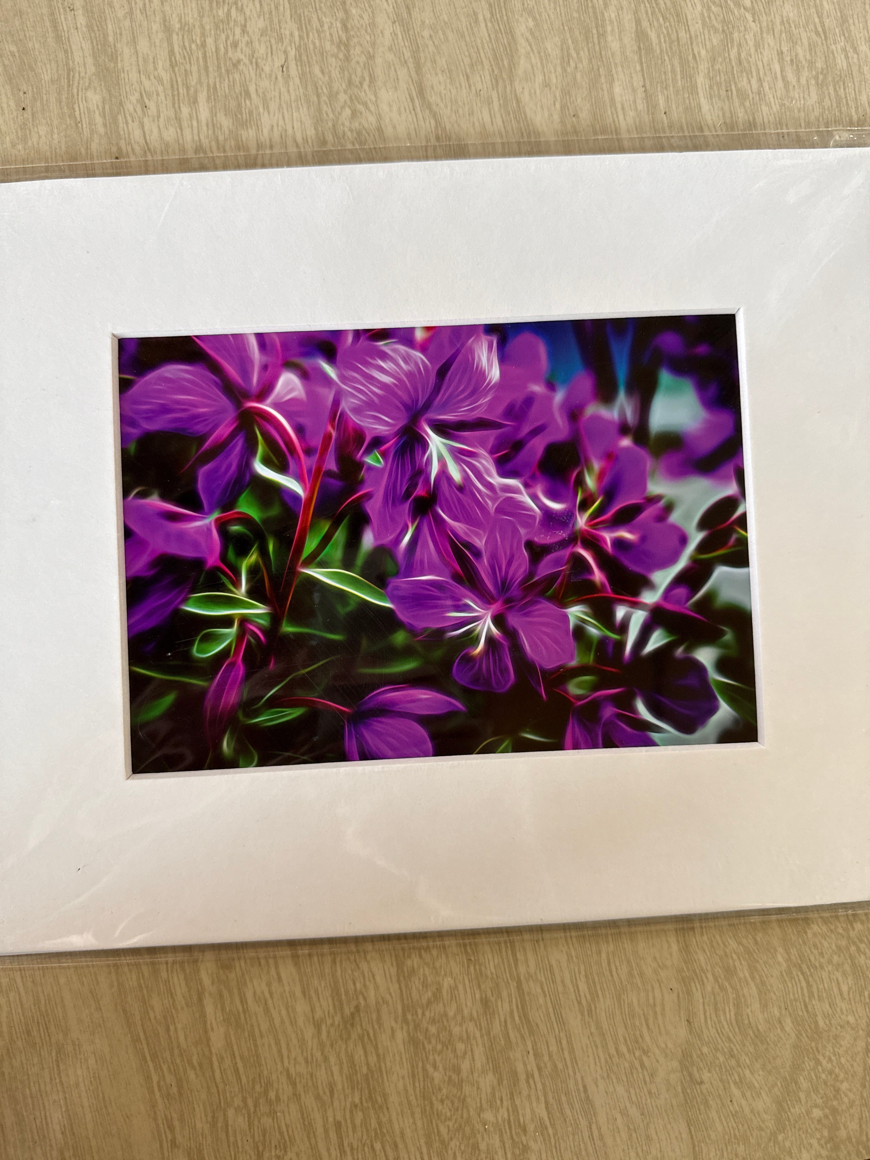 Photography Prints, Matted 5x7