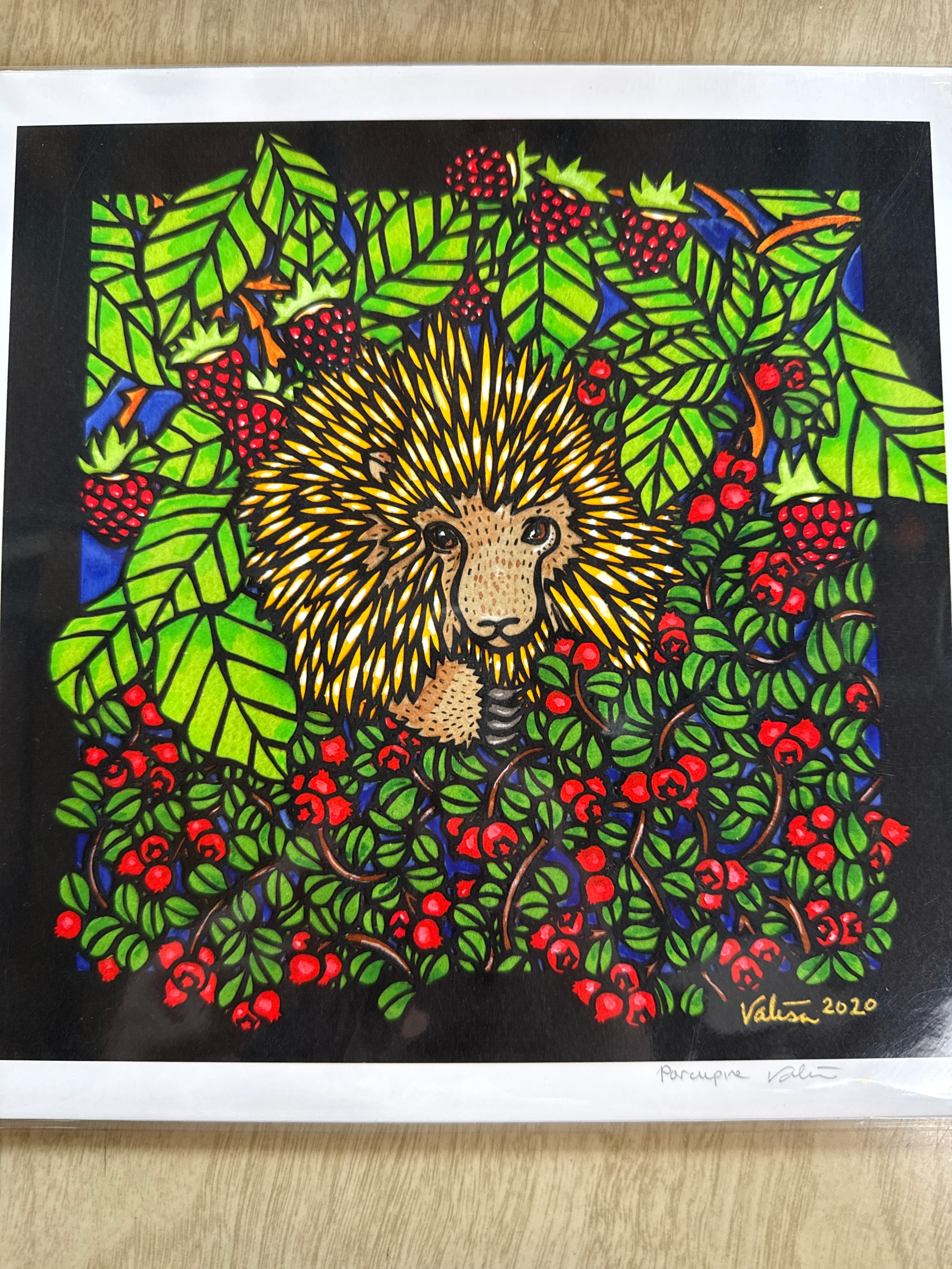 Porcupine 9x9 Print