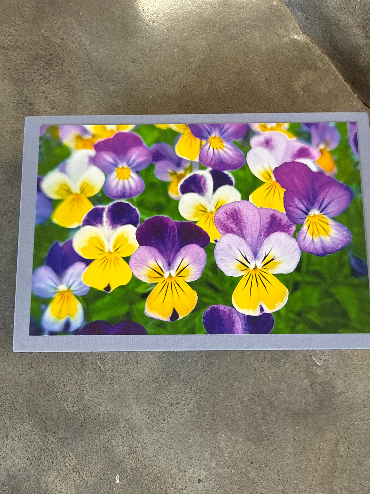 photo blocks