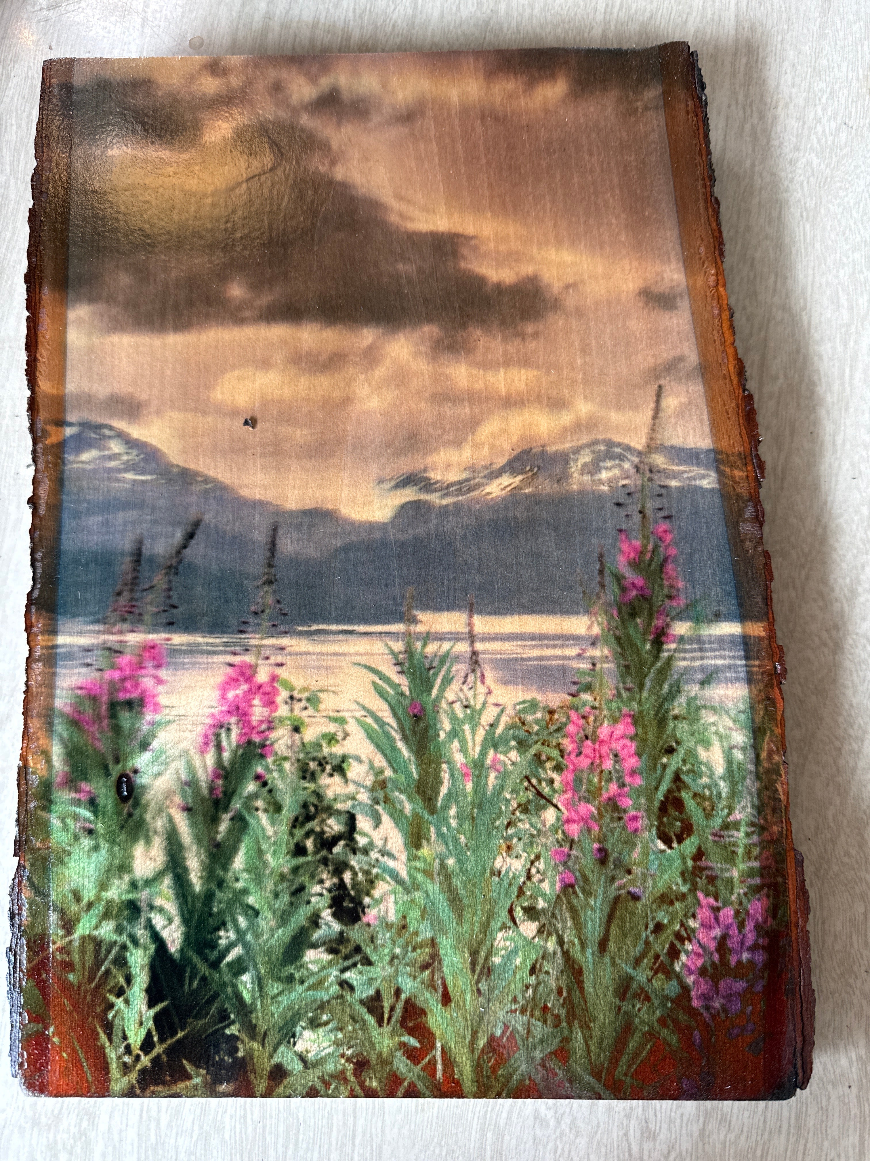 Photography on Wood with Live Edge 9x12