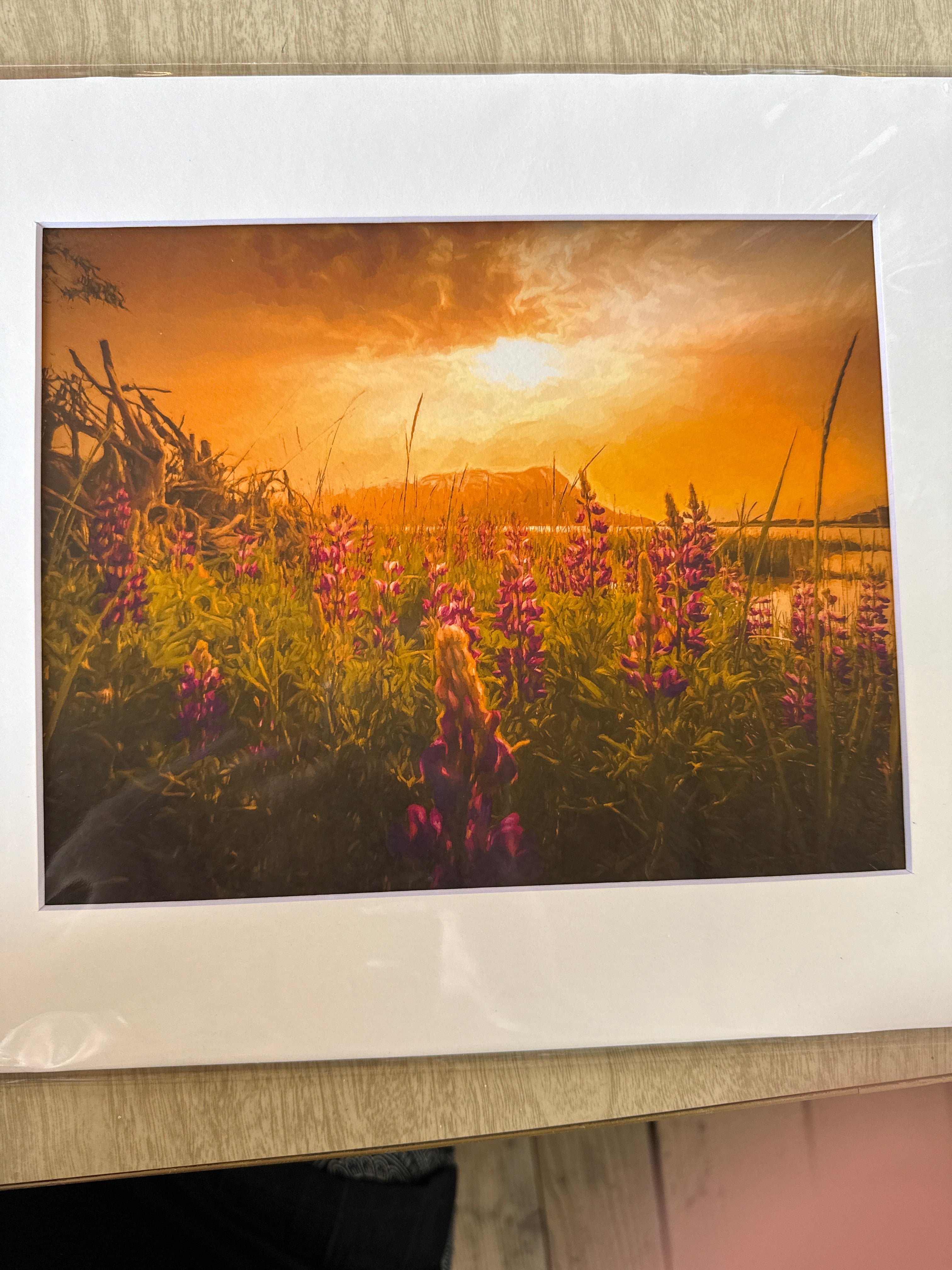 Photography Prints, Matted 8x10