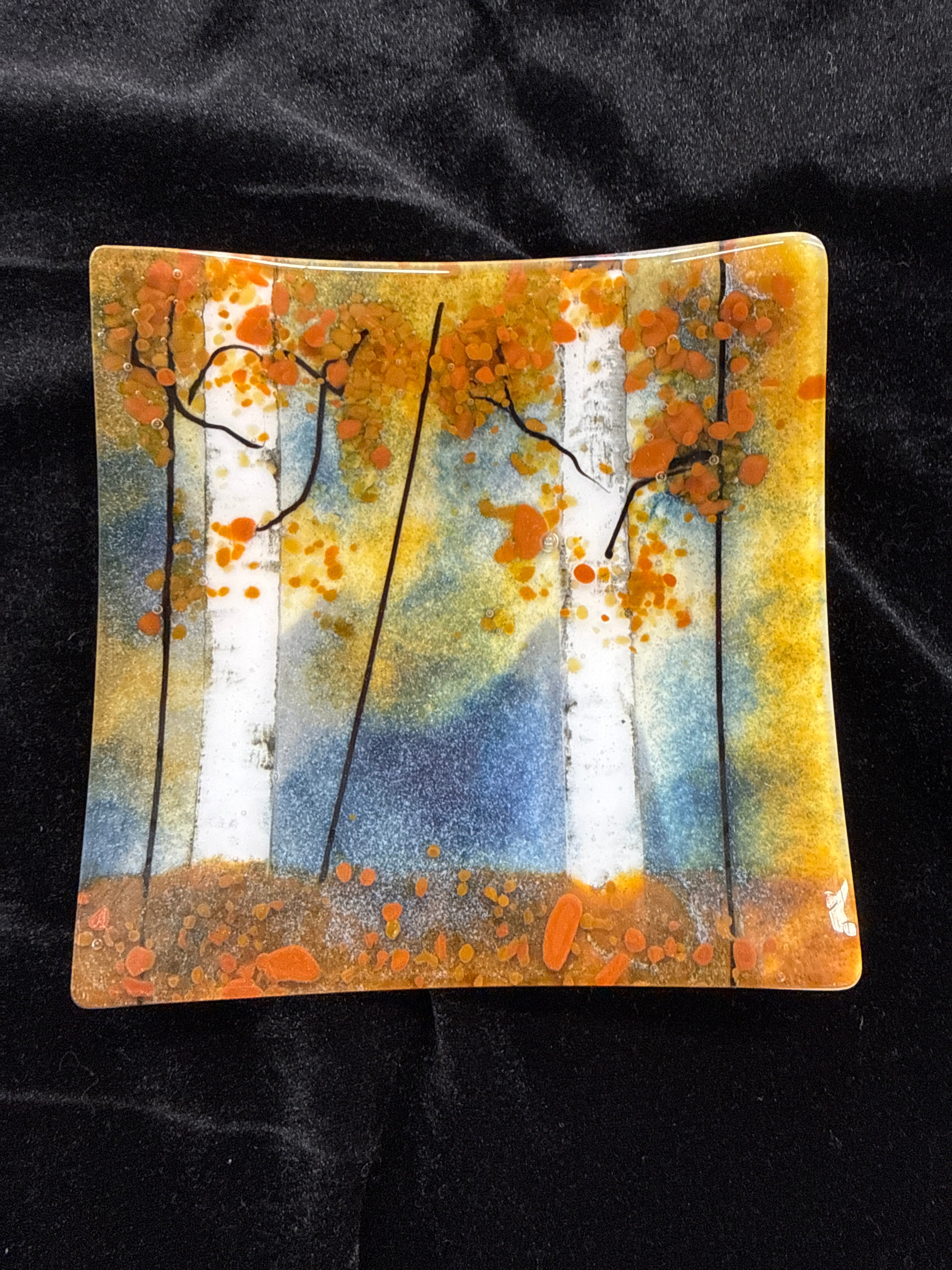 #258 6x6 birch glass plate