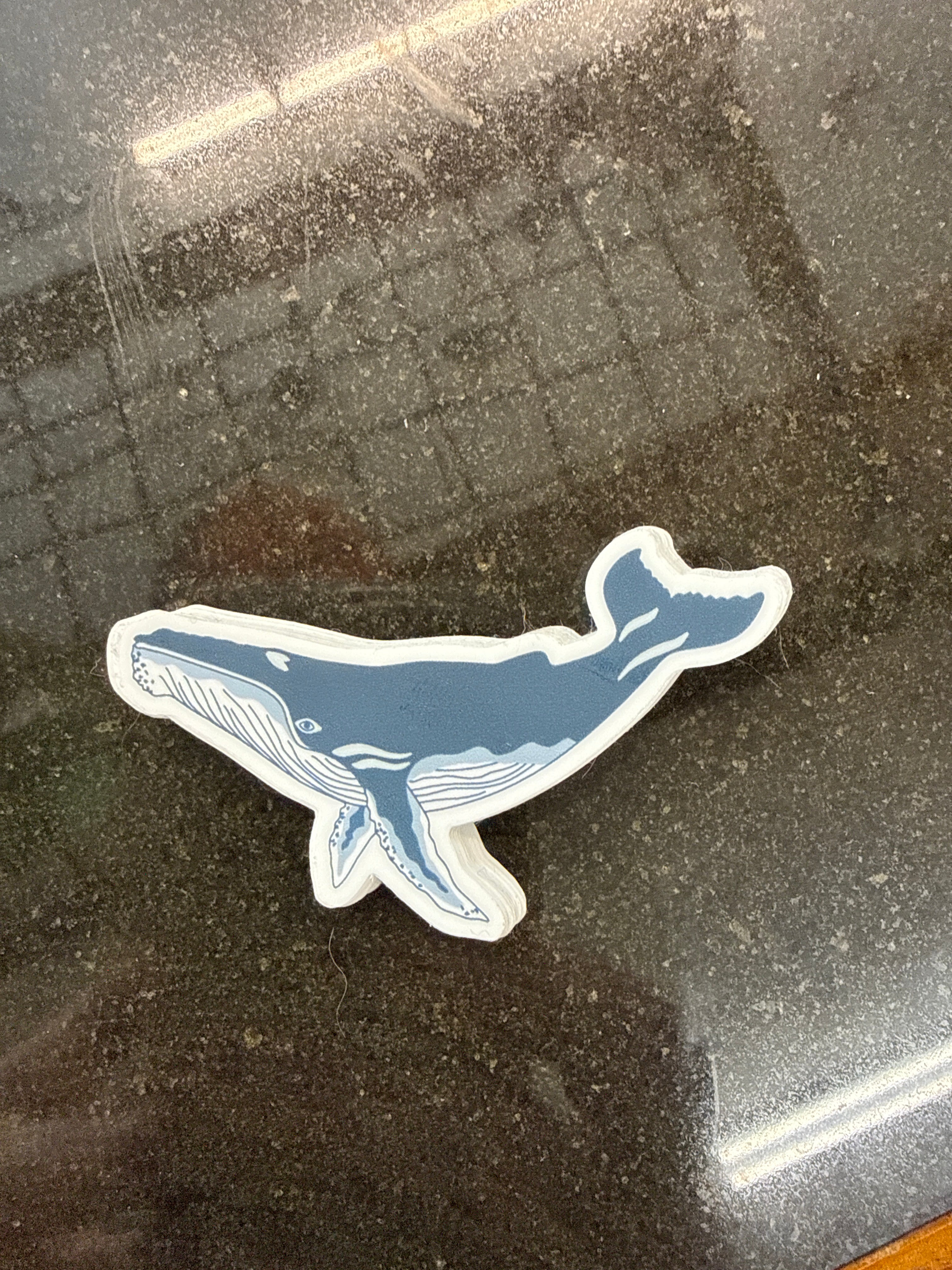 Whale Sticker
