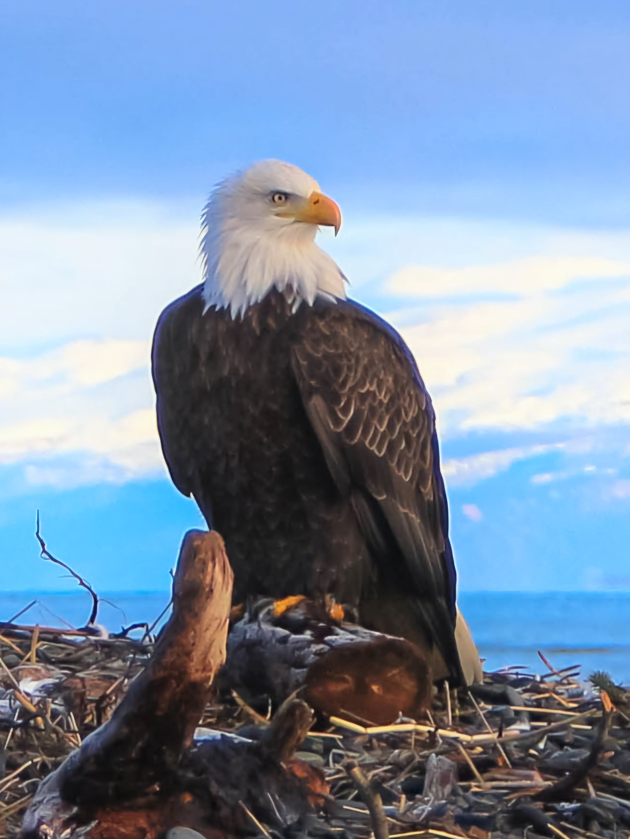 Metal photography spinners