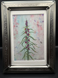 Fireweed Fantasy 4x6 original watercolor