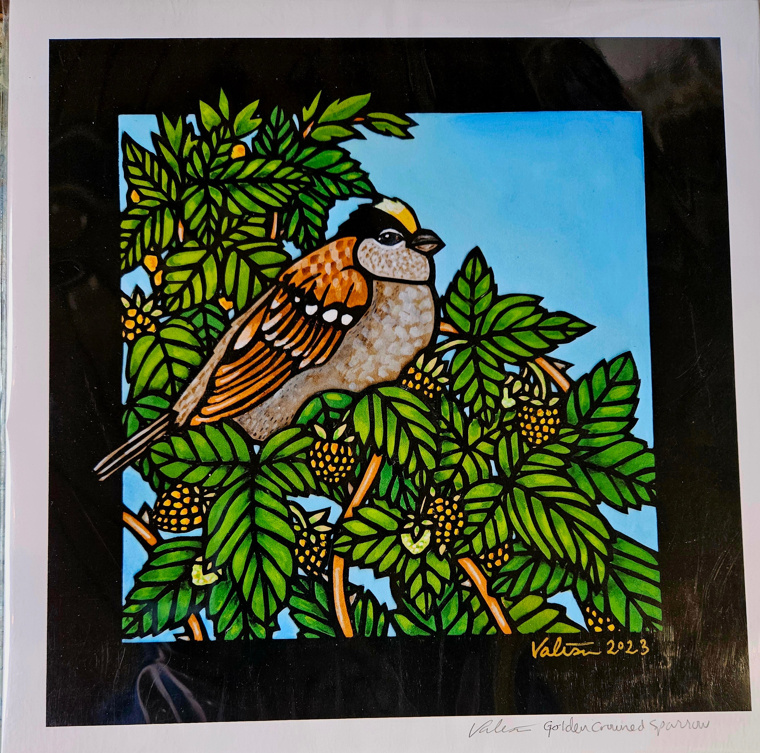 Golden crowned sparrow