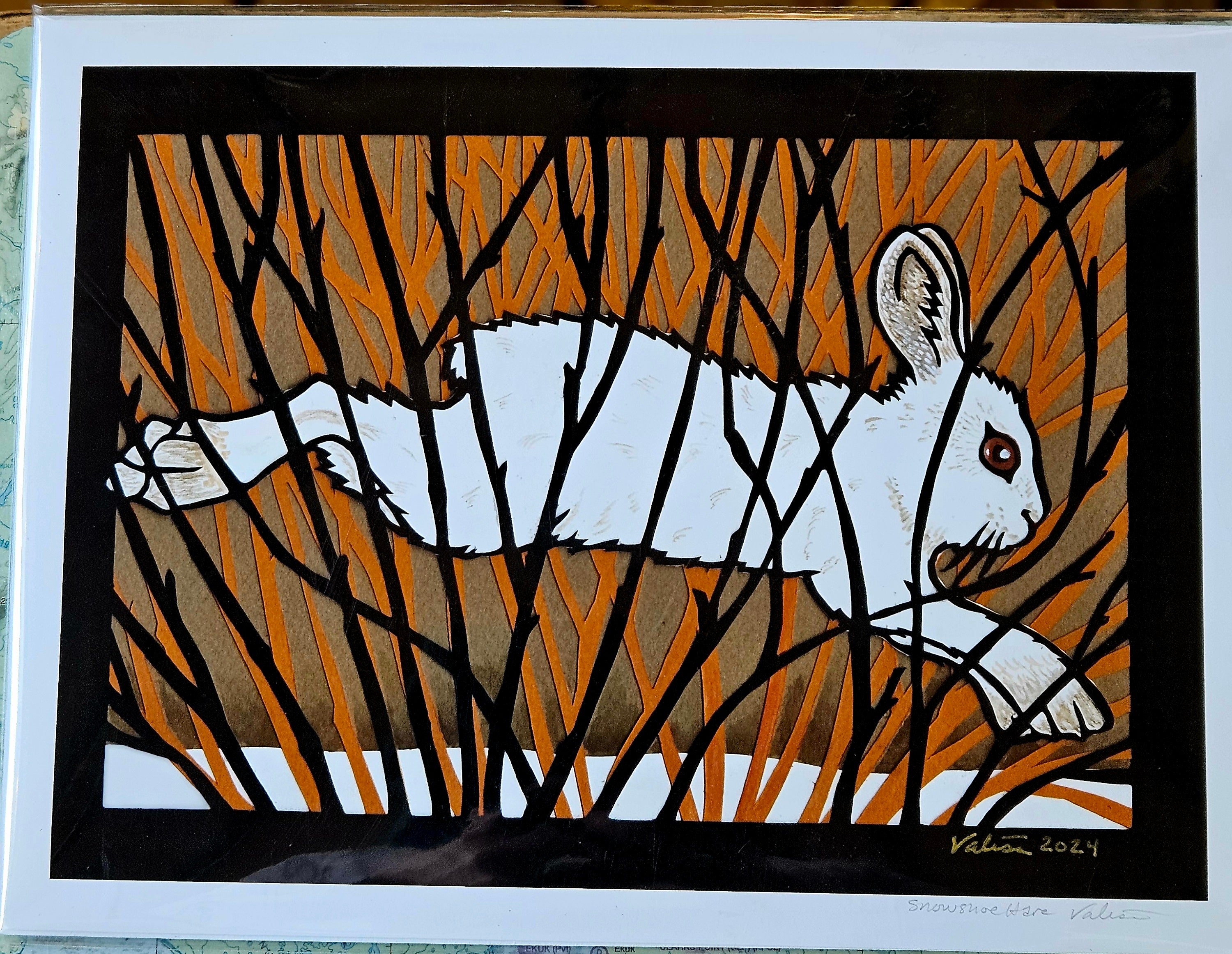 Snowshoe hare