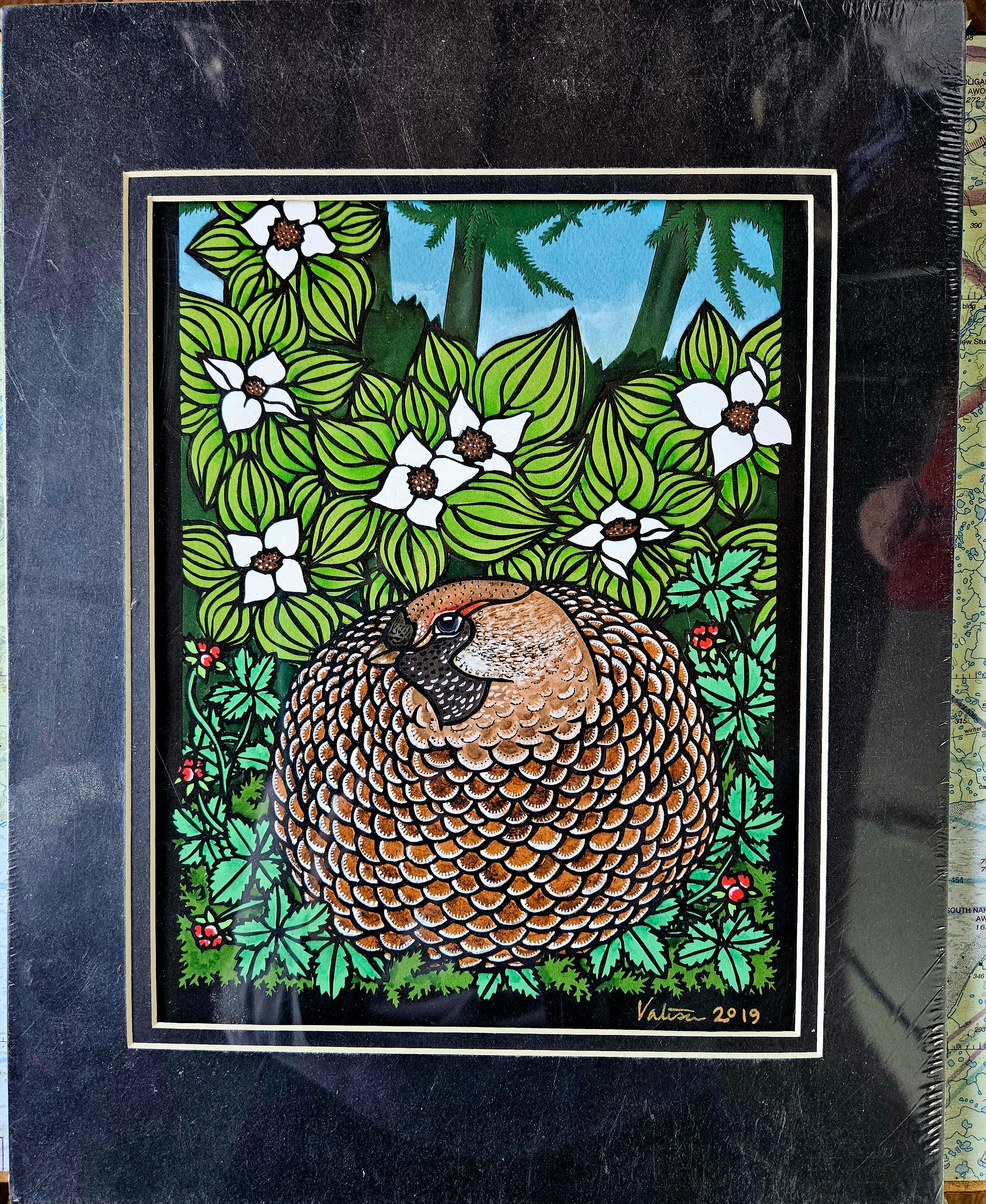 Spruce Grouse
